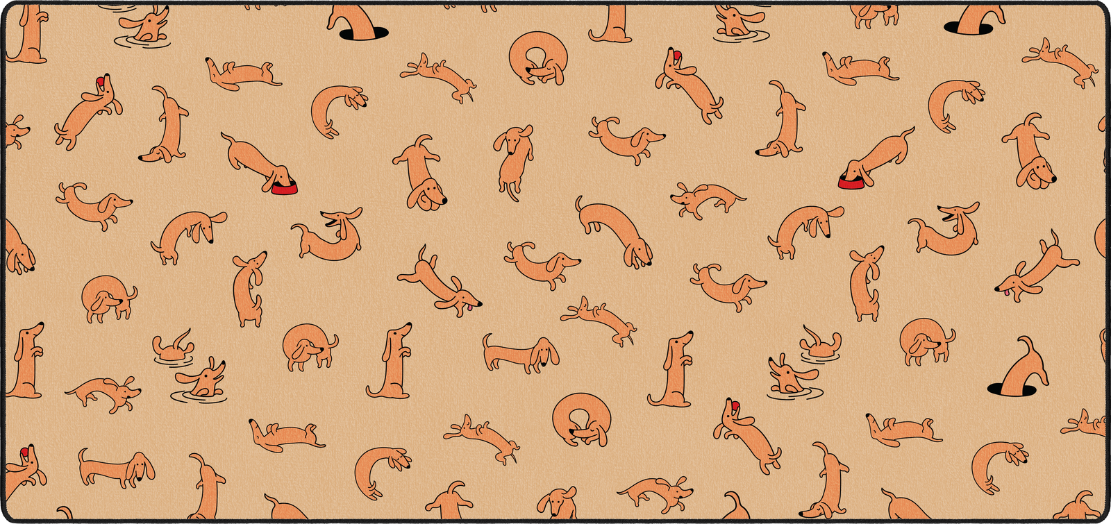 Dachshund