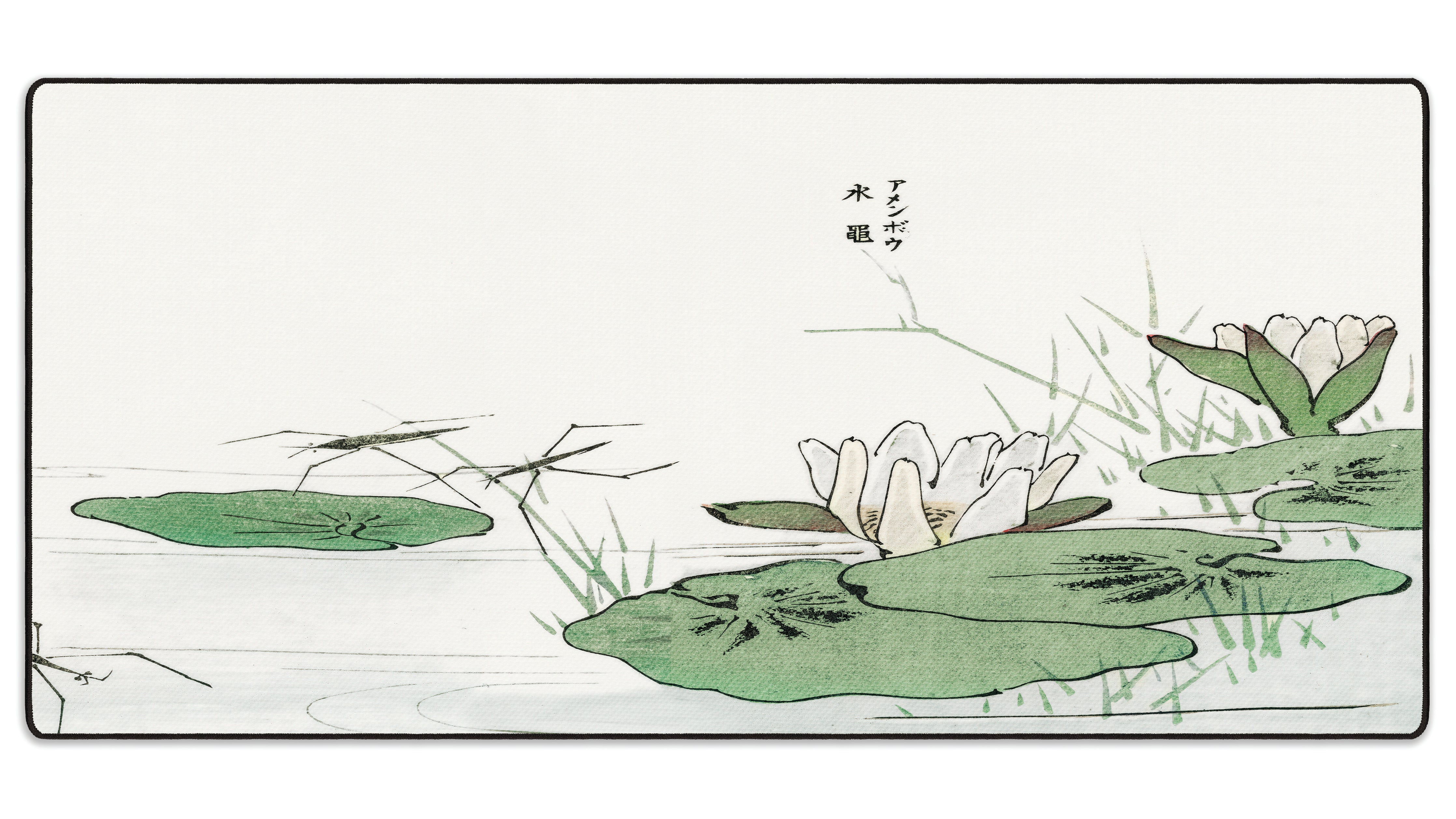 Water Striders by Morimoto Toko