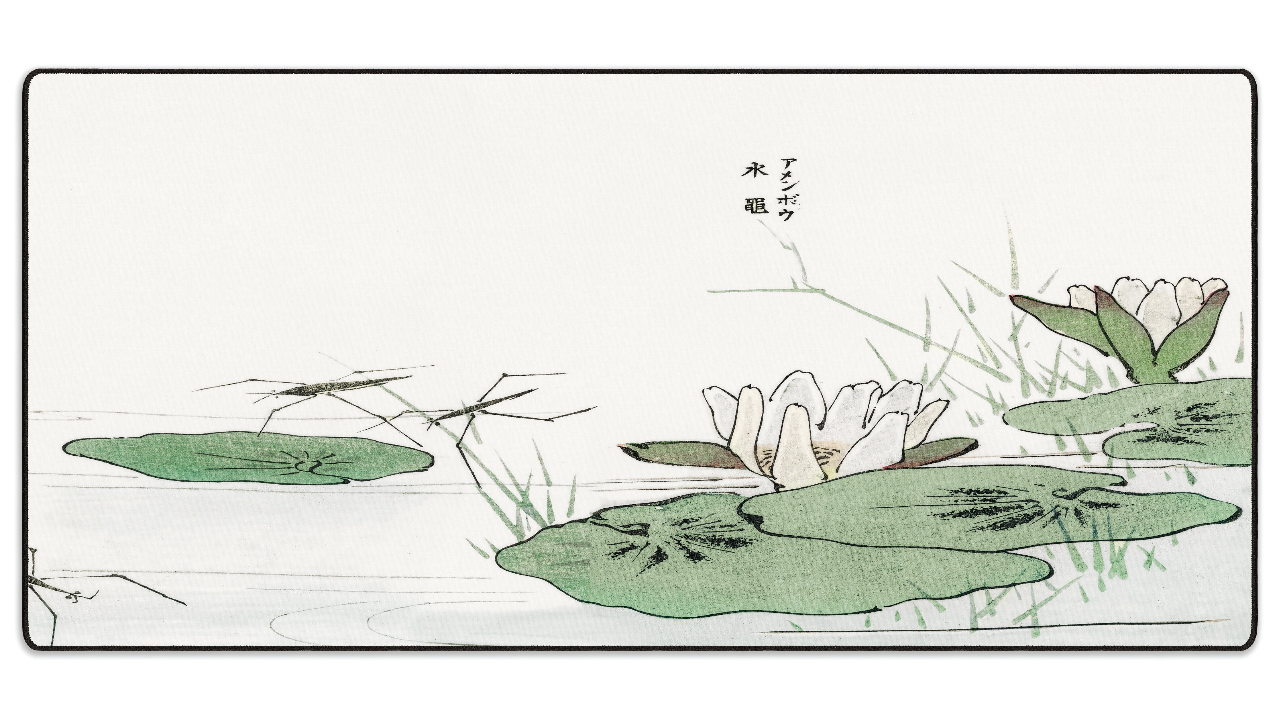 Water Striders by Morimoto Toko