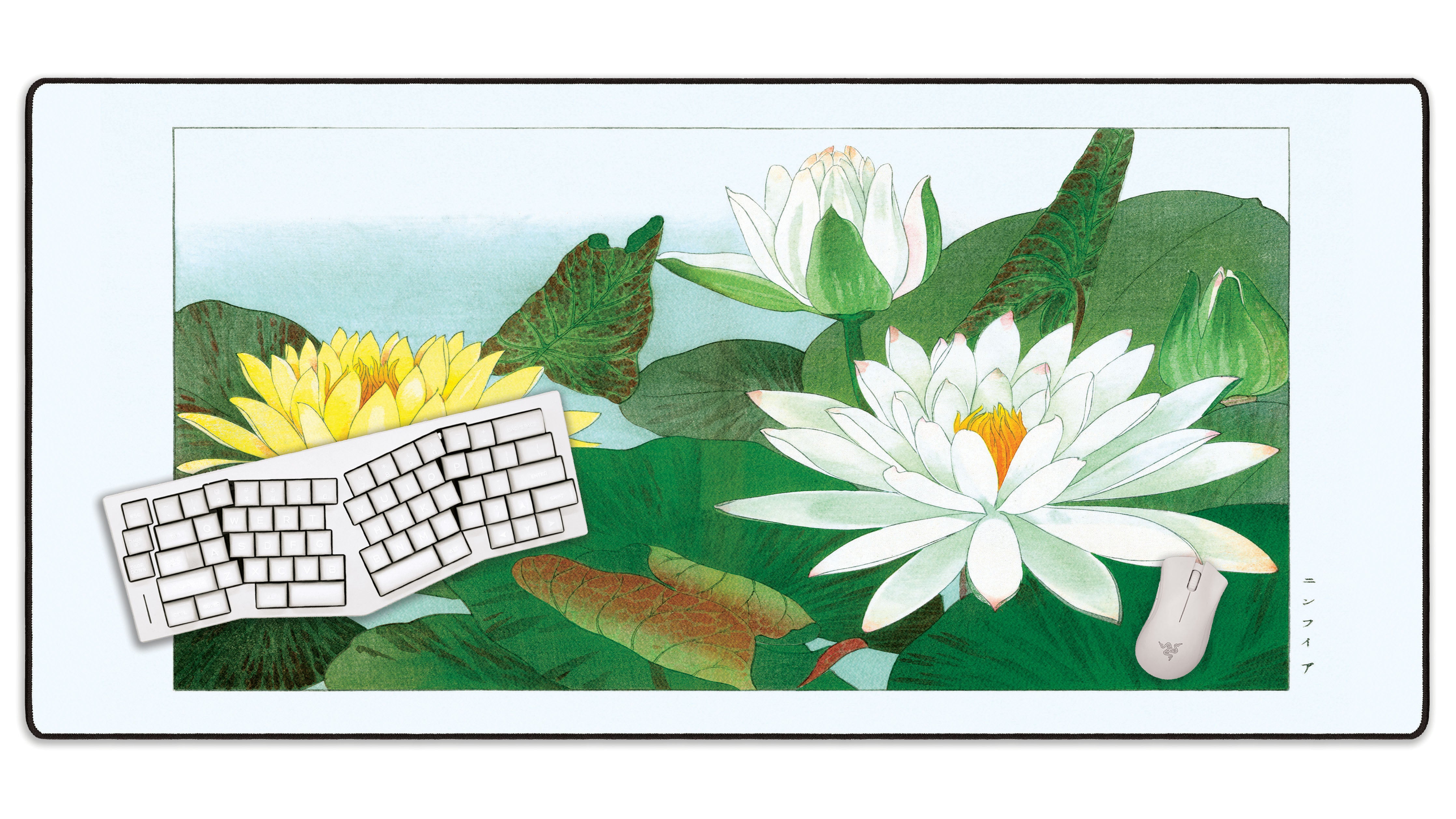 Nymphaea Lotus by Konan