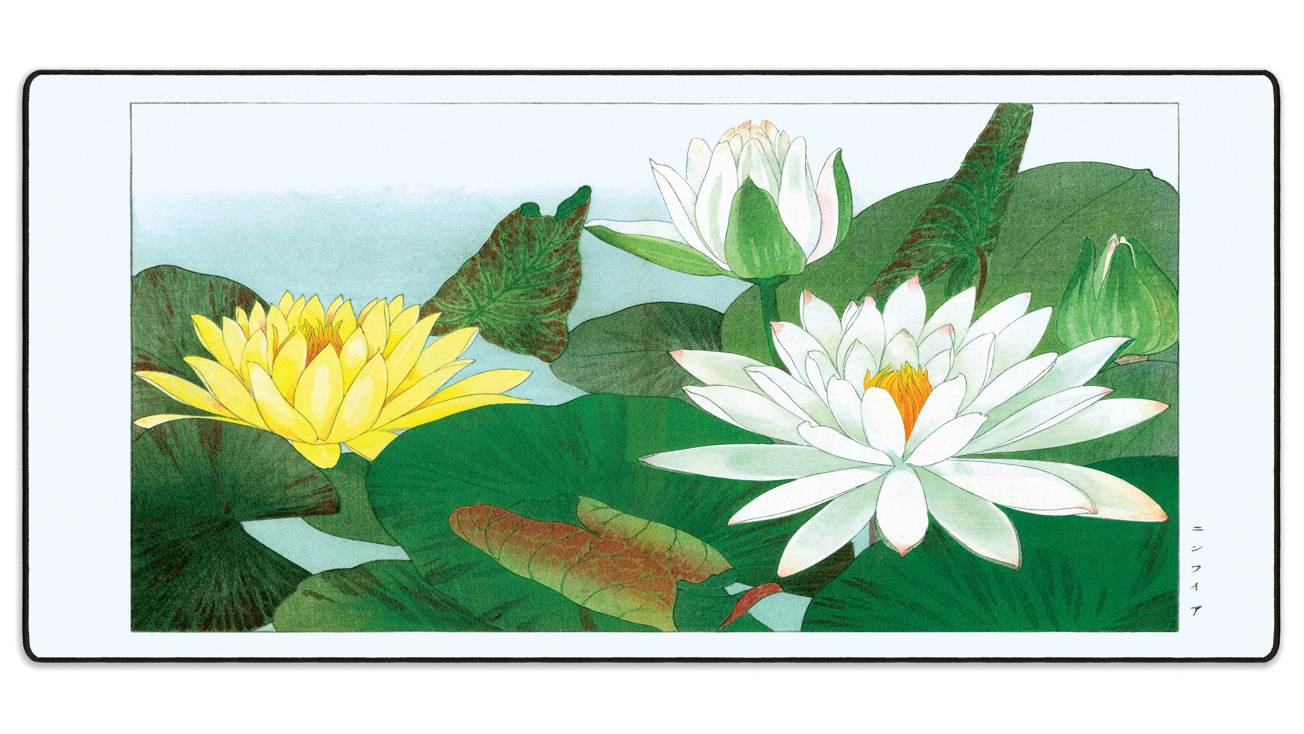 Nymphaea Lotus by Konan