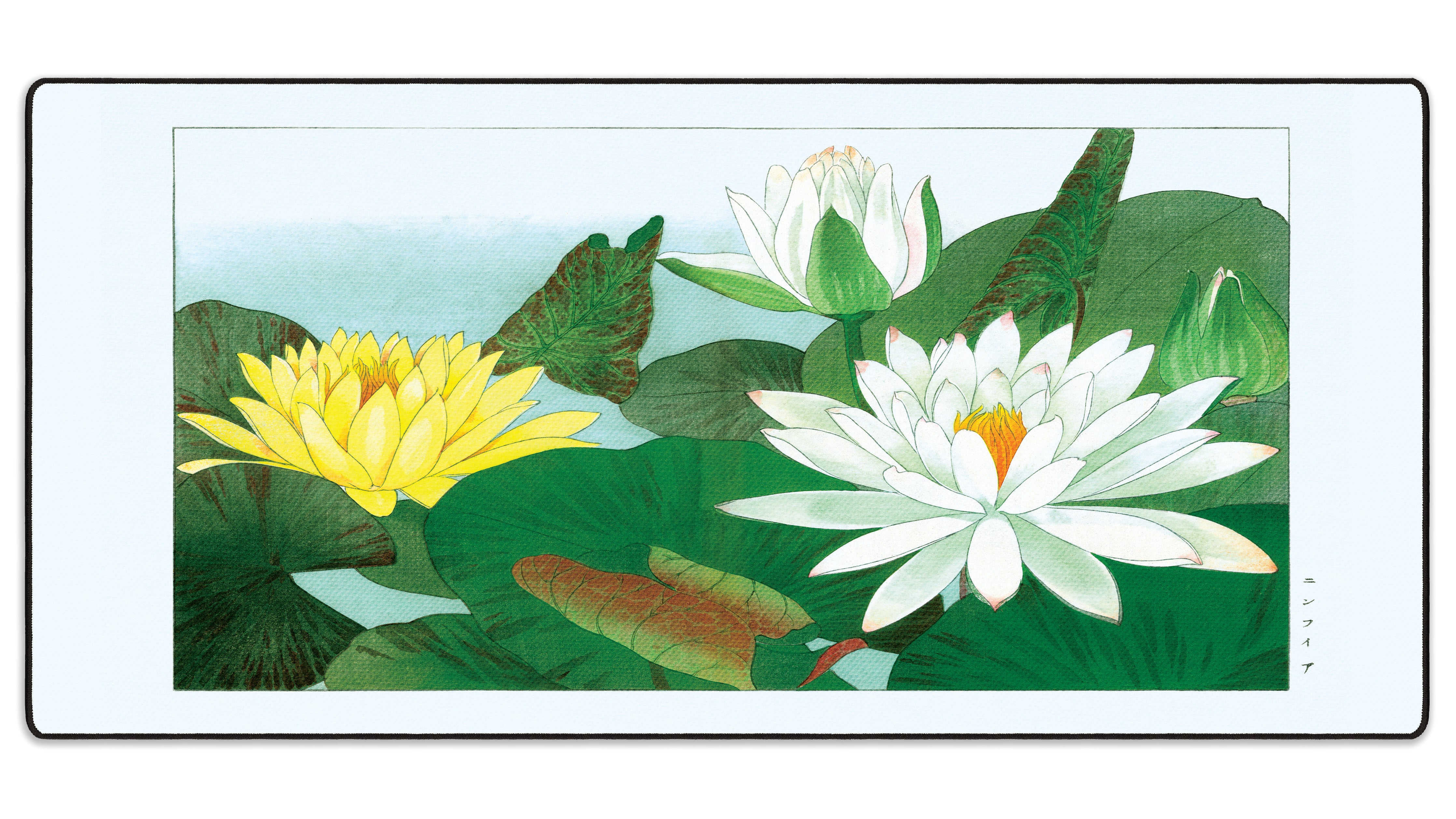 Nymphaea Lotus by Konan