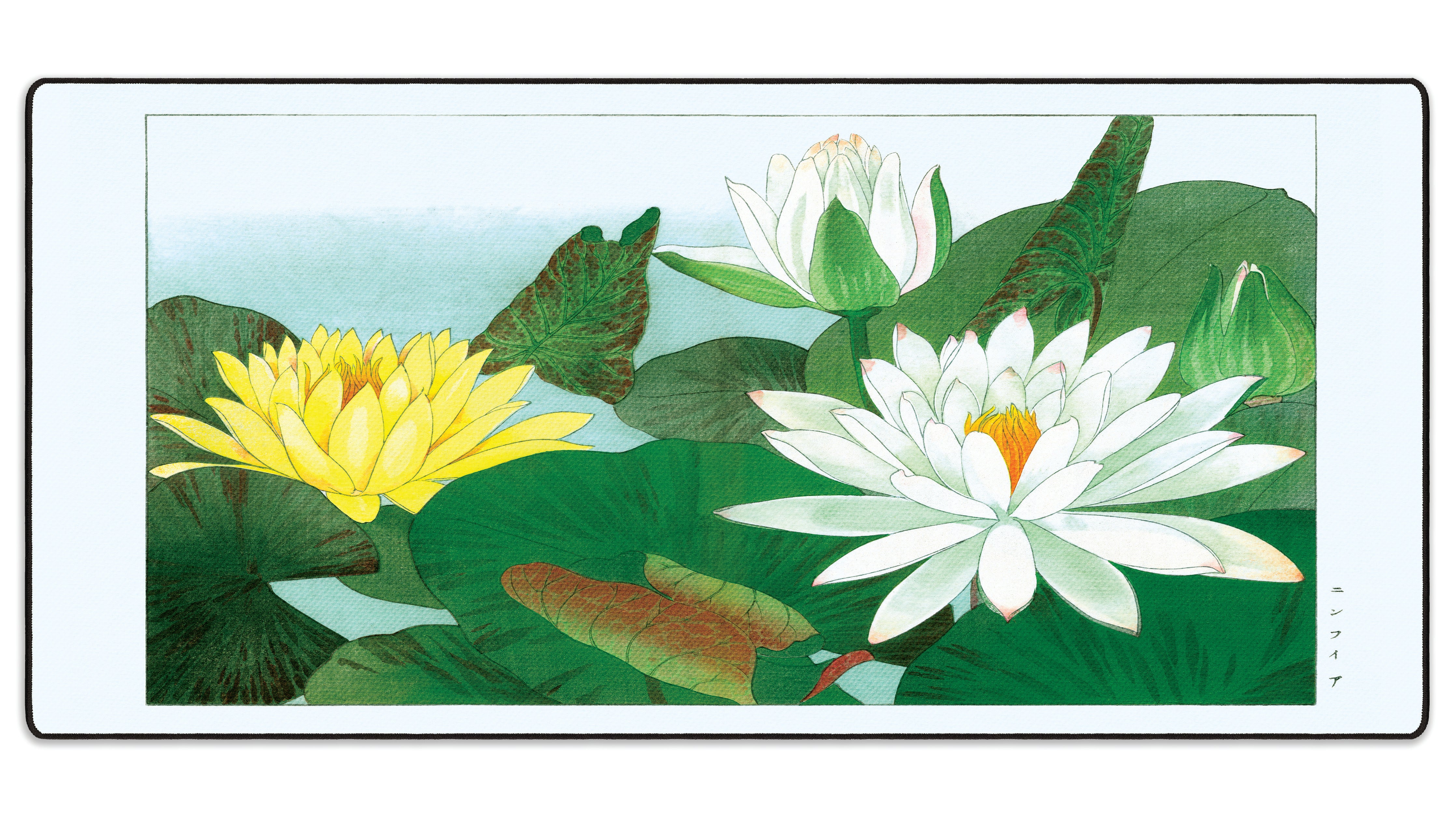 Nymphaea Lotus by Konan