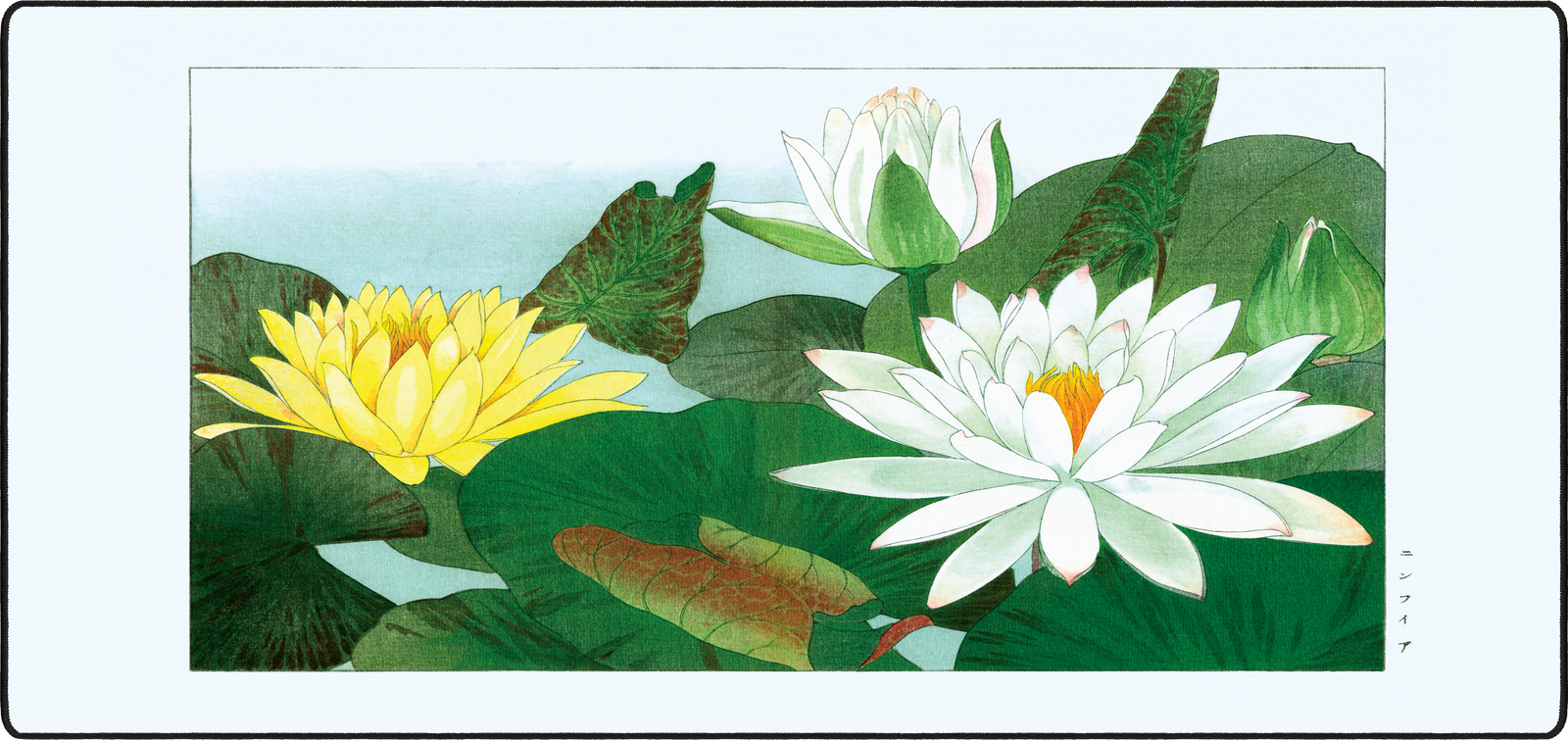 Nymphaea Lotus by Konan