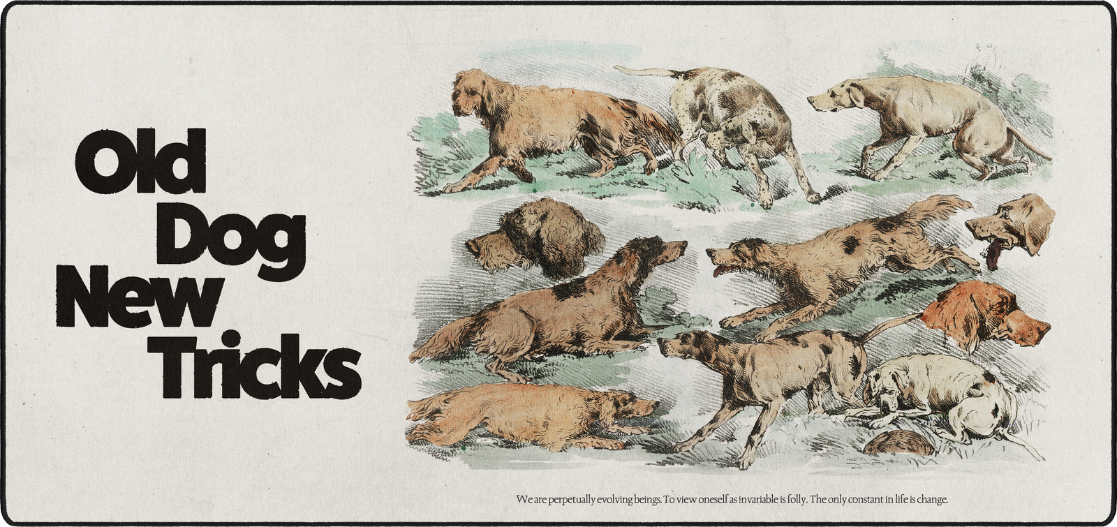 Old Dog New Tricks