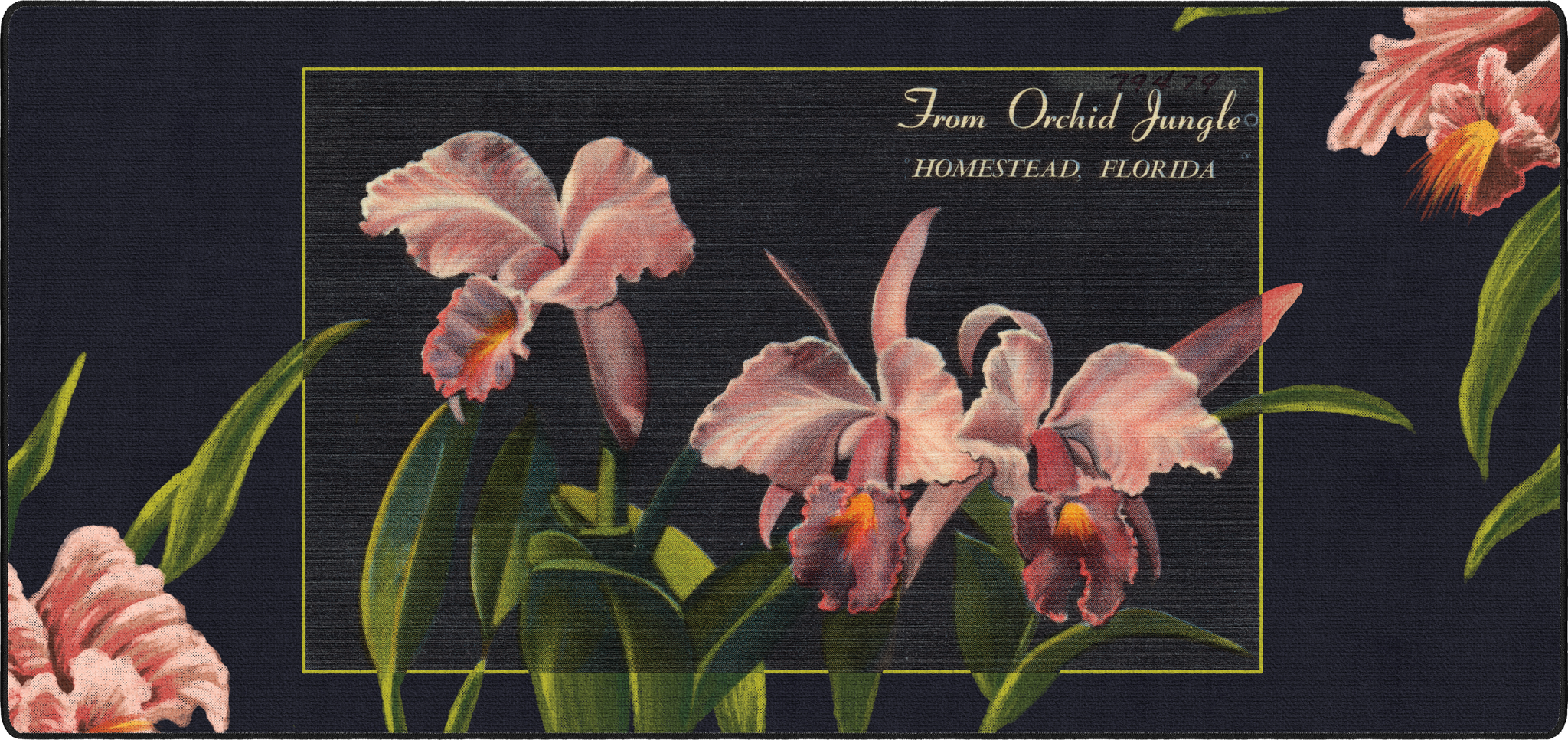 Orchid Jungle