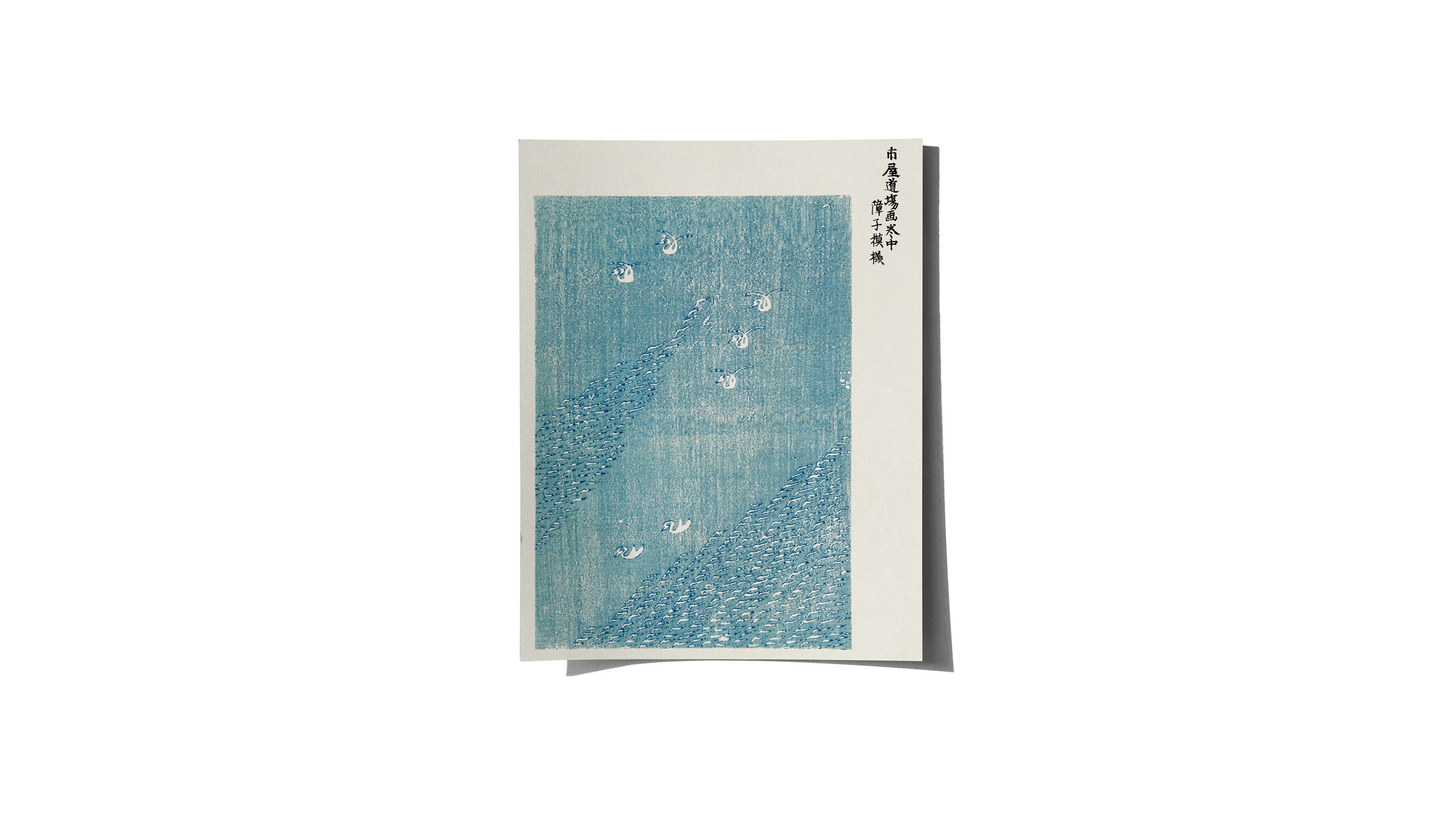 Swans- Medium Poster - The Mousepad Company
