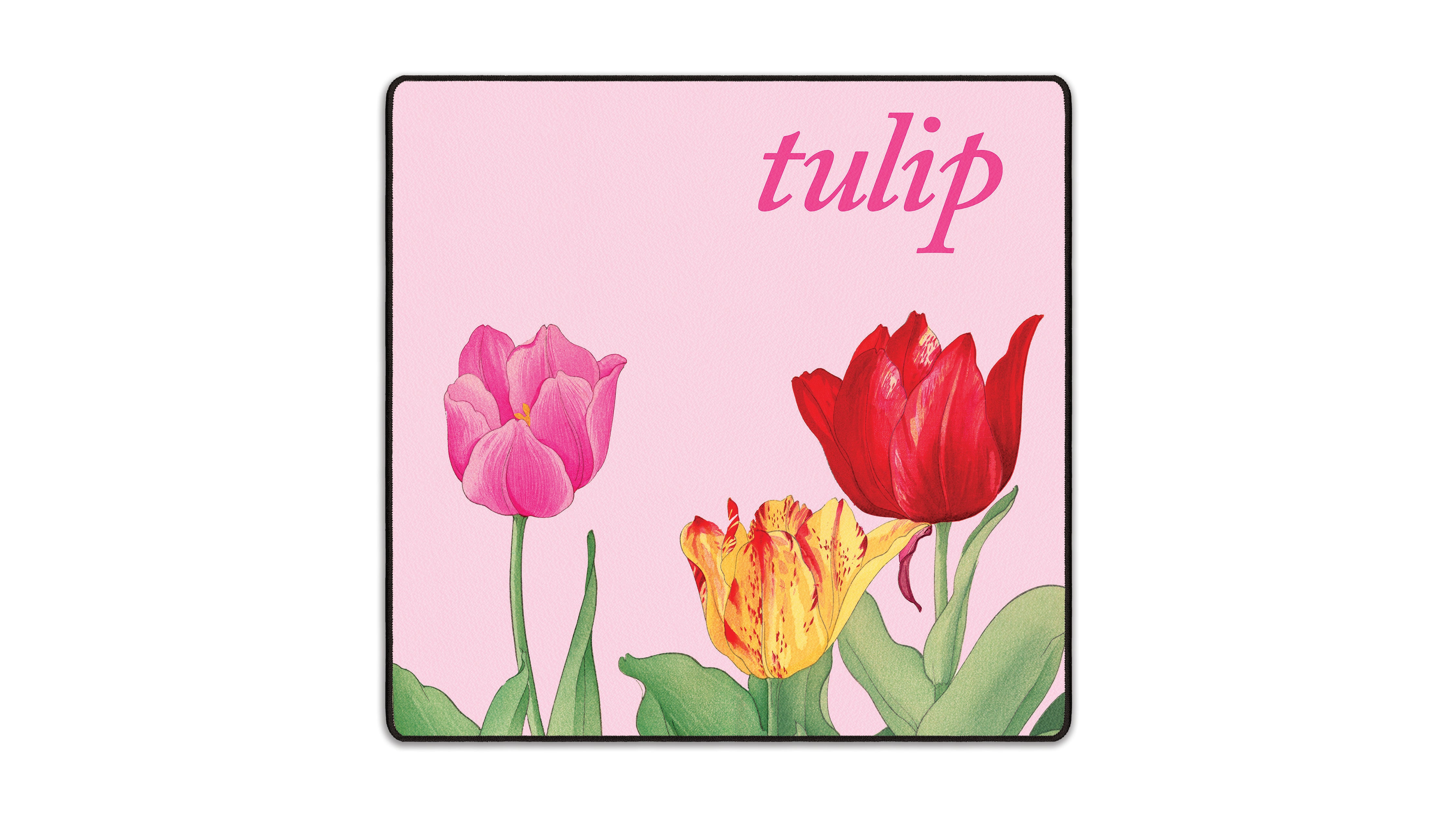 Tulip