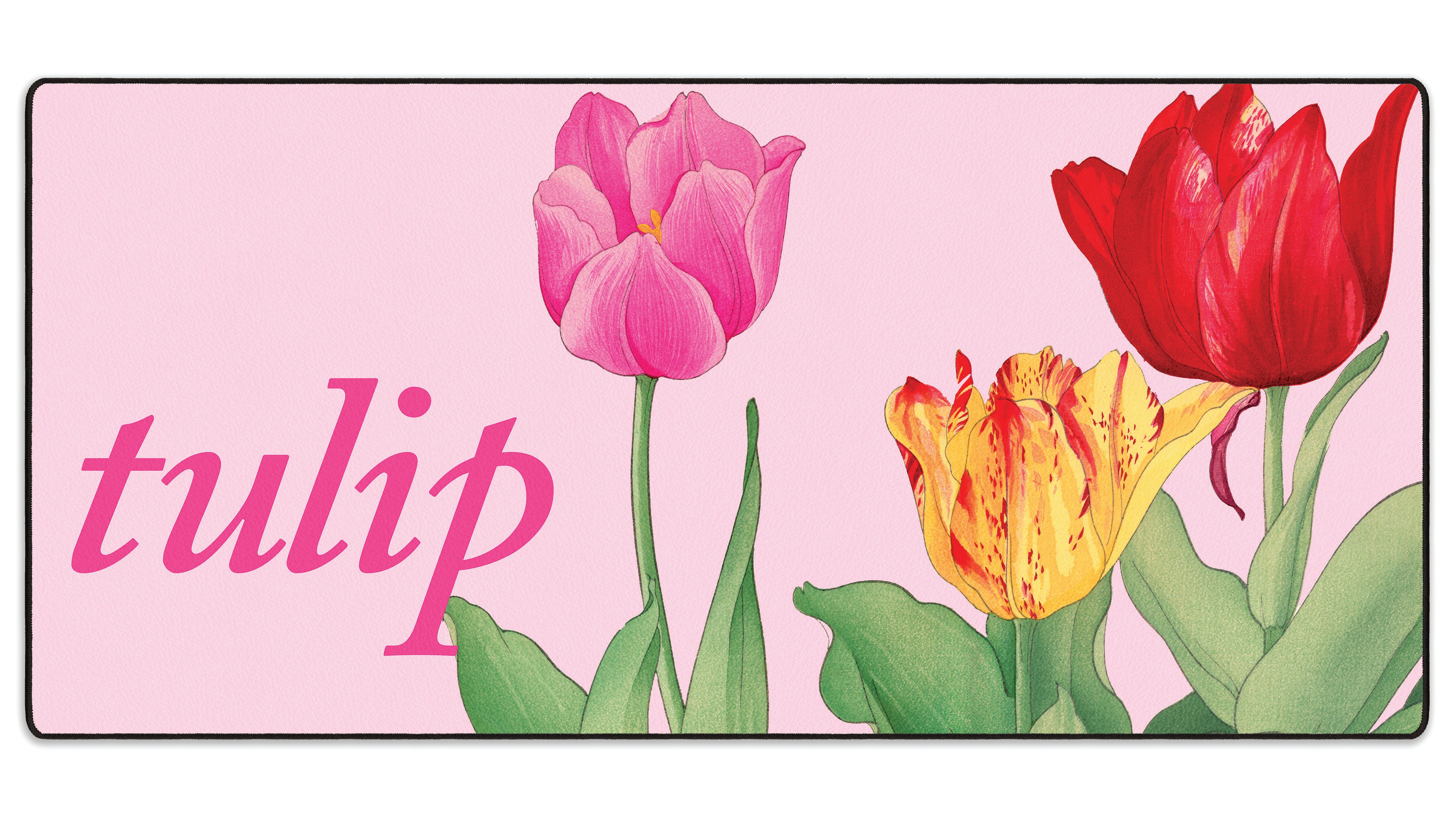 Tulip
