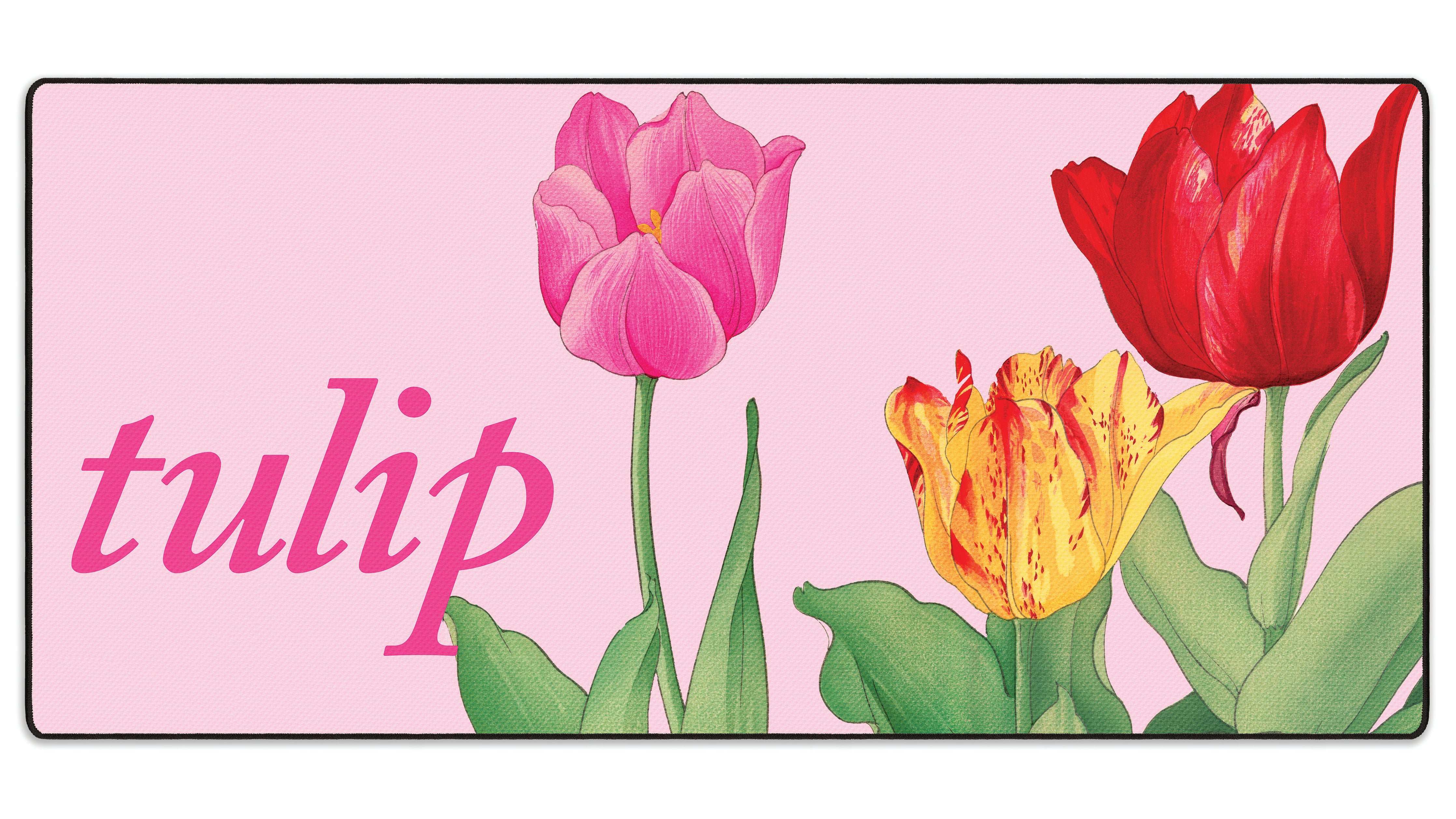 Tulip