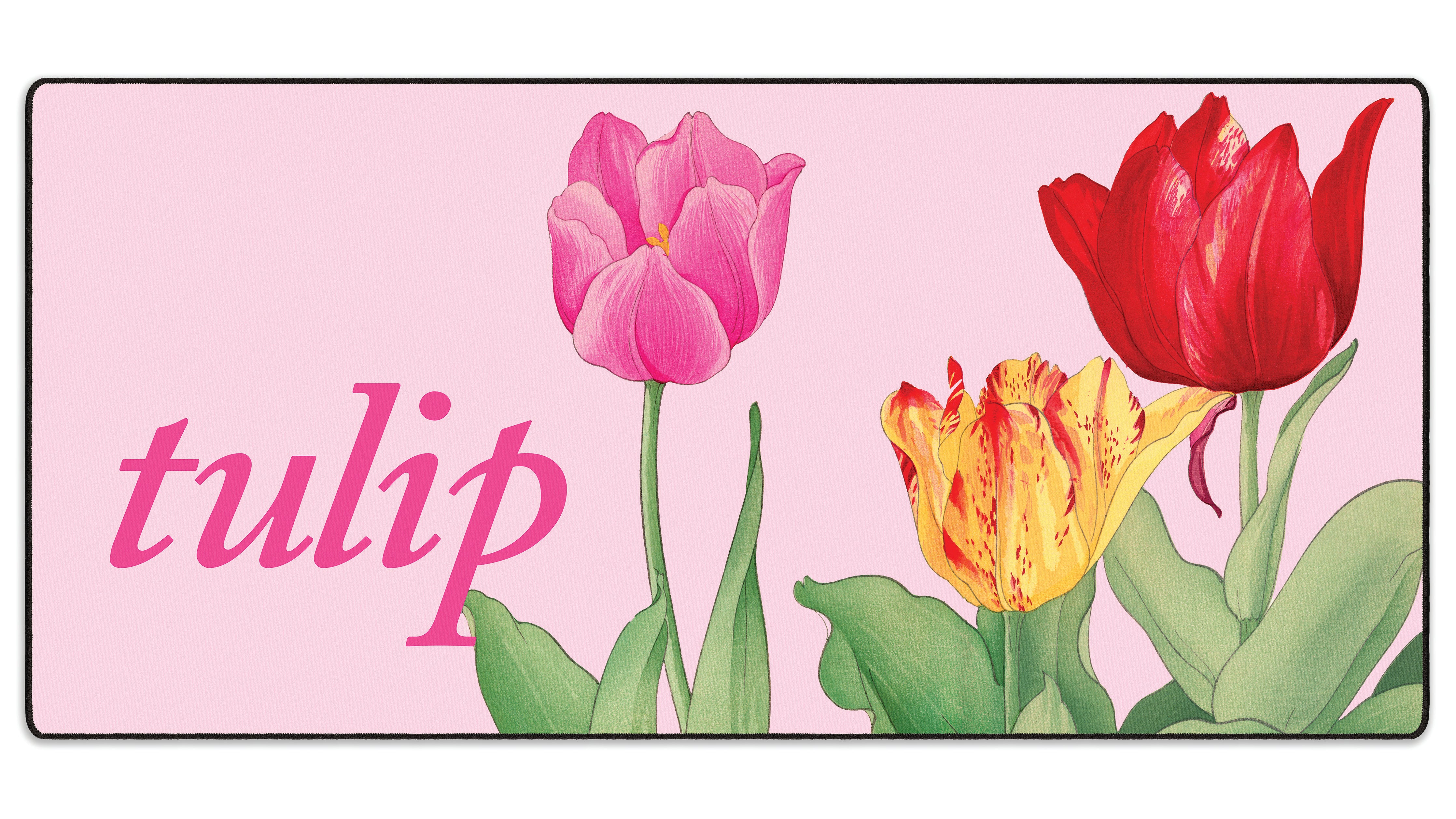 Tulip