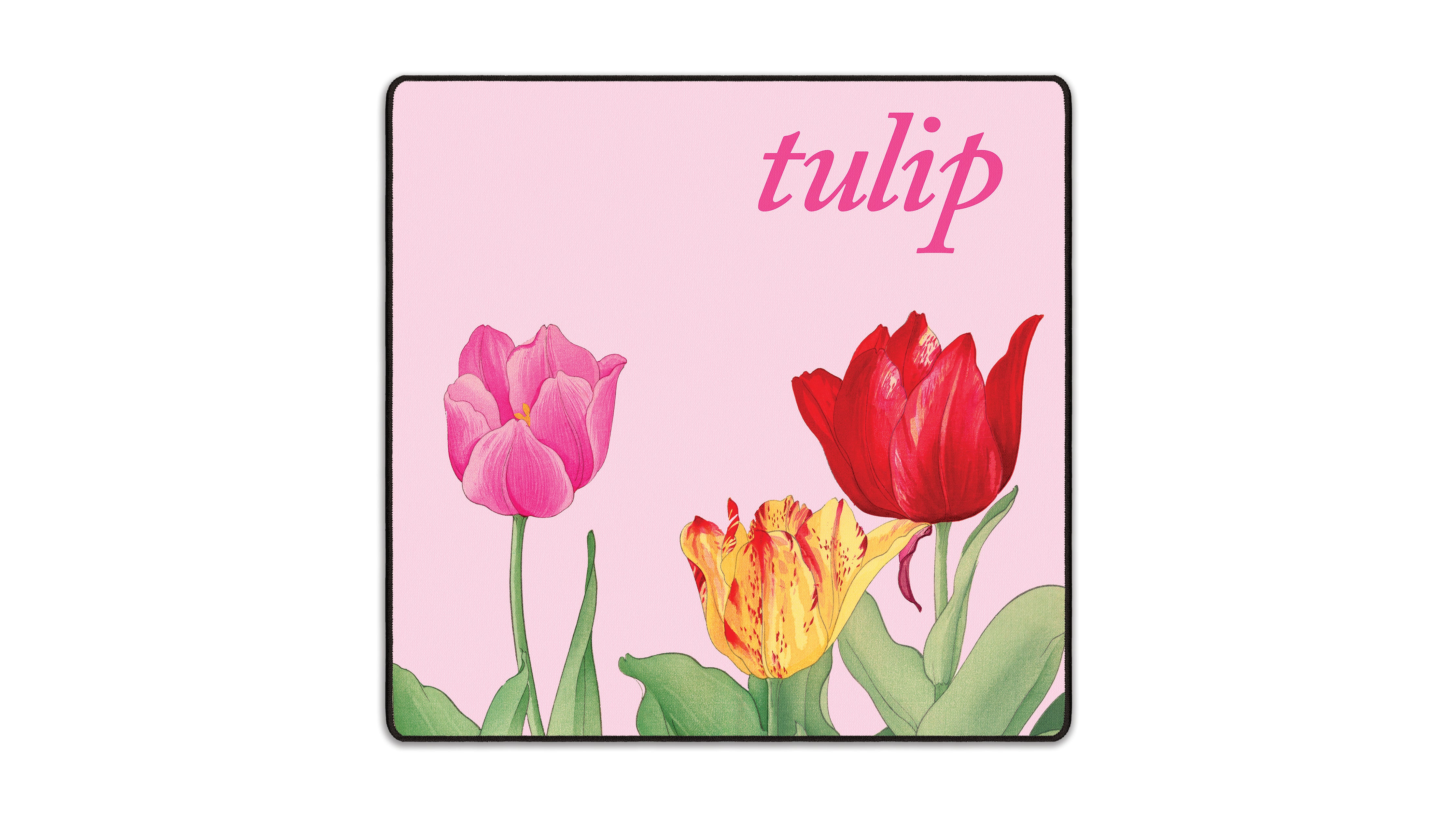 Tulip