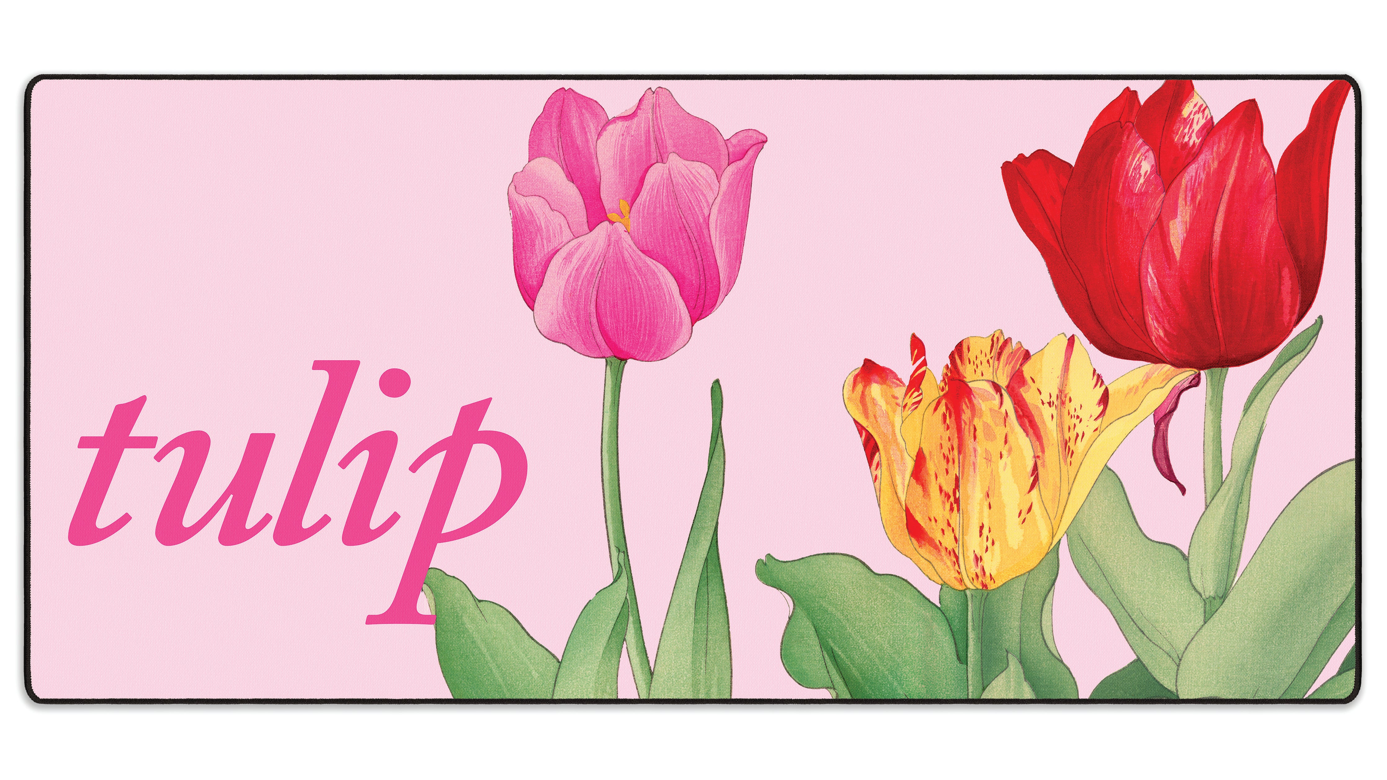 Tulip