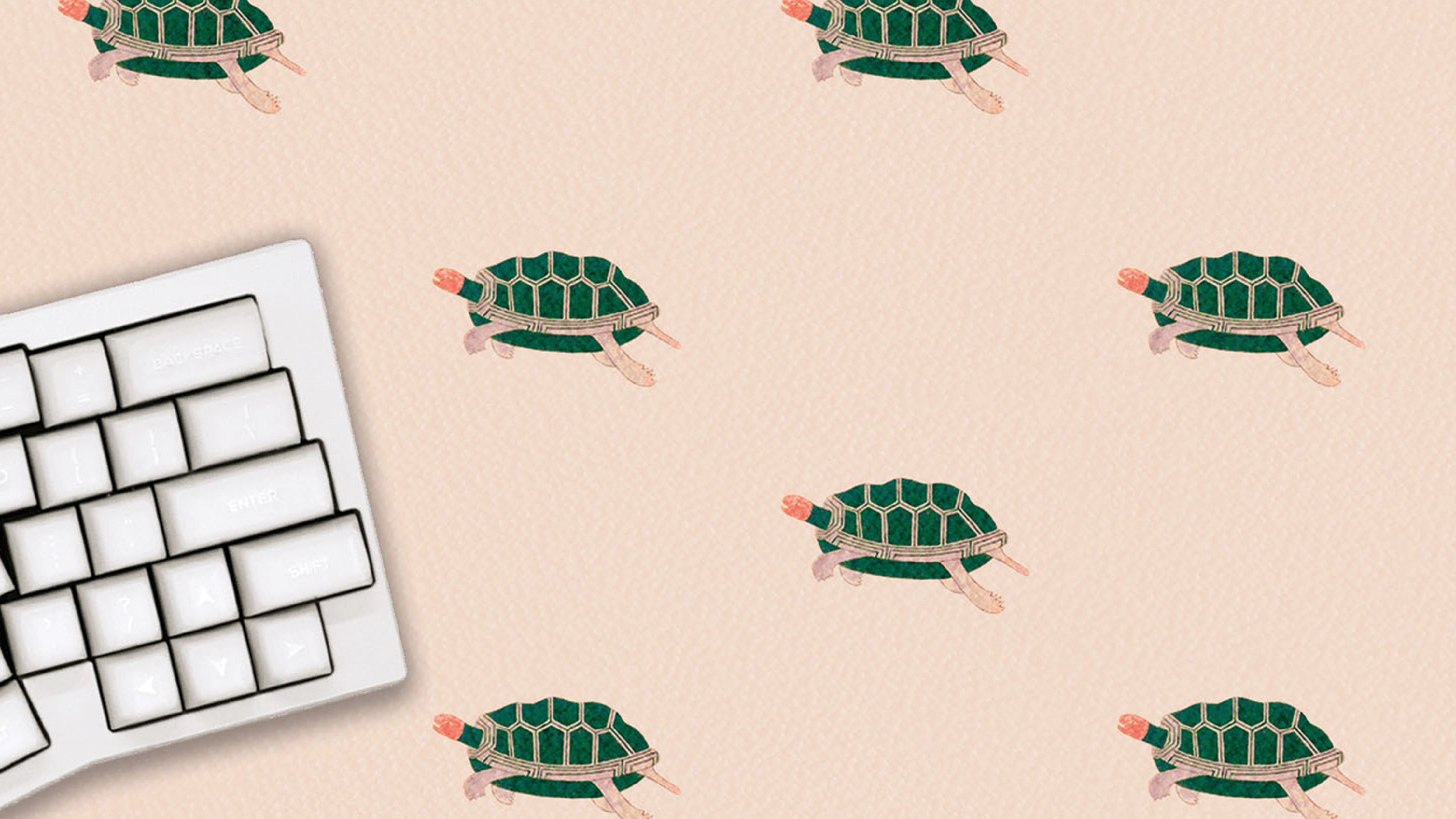 Tiny Turtles - The Mousepad Company