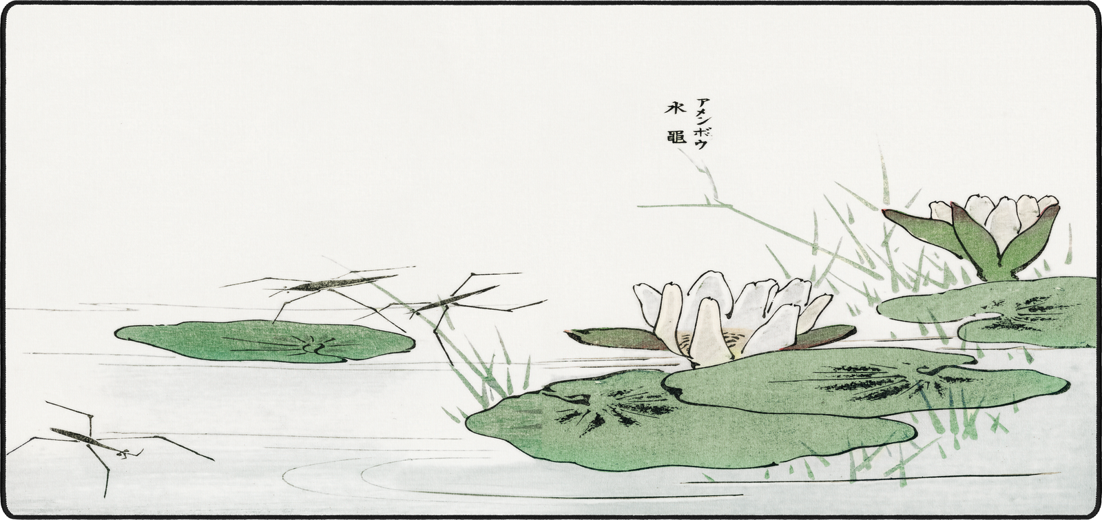 Water Striders by Morimoto Toko