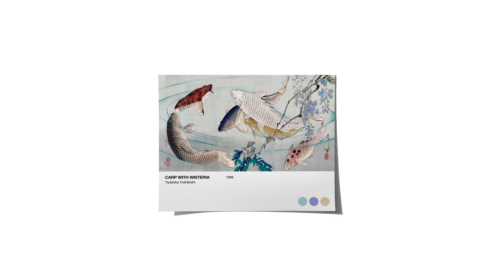 Carp with Wisteria, by Yoshitoshi- Medium Poster