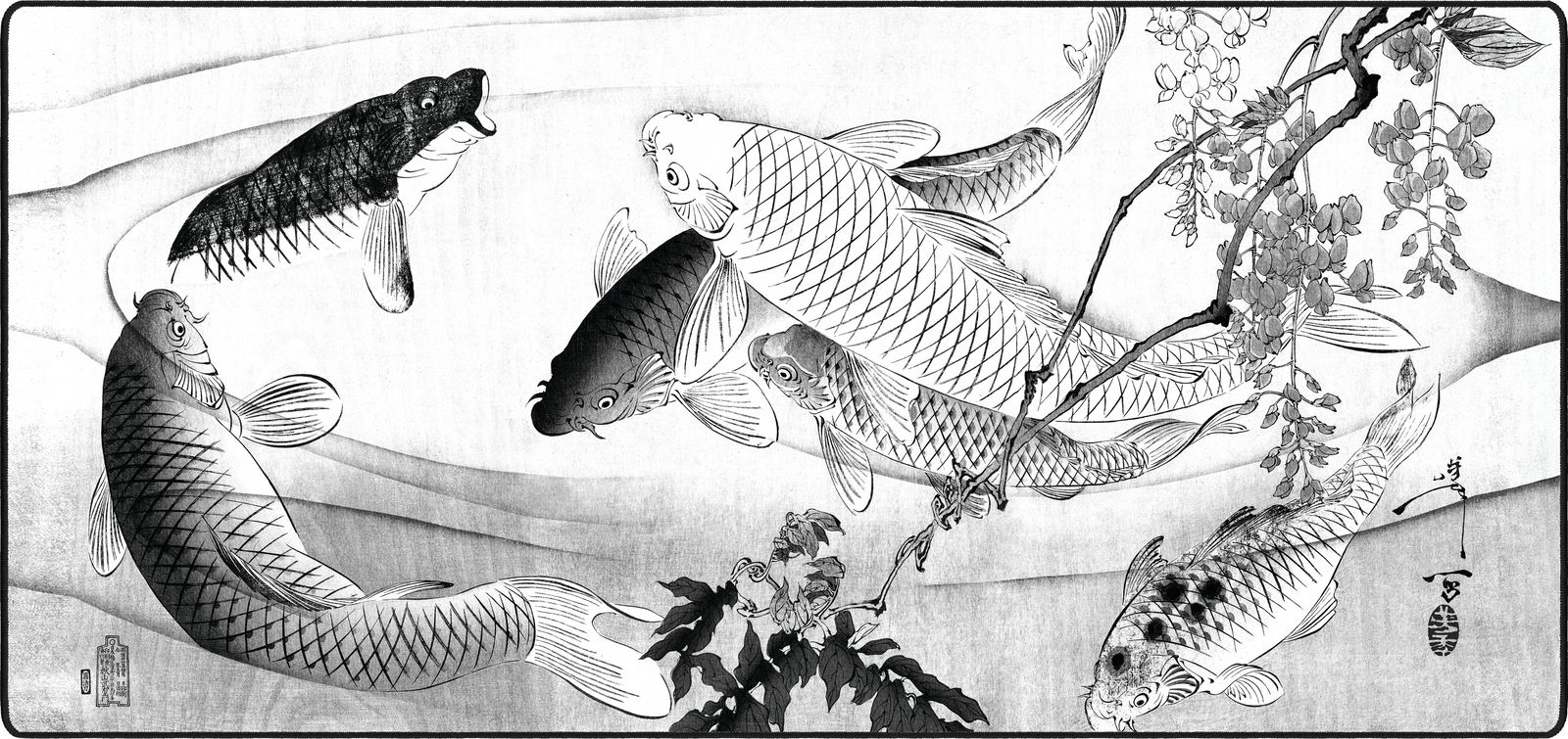 Carp with Wisteria, by Yoshitoshi