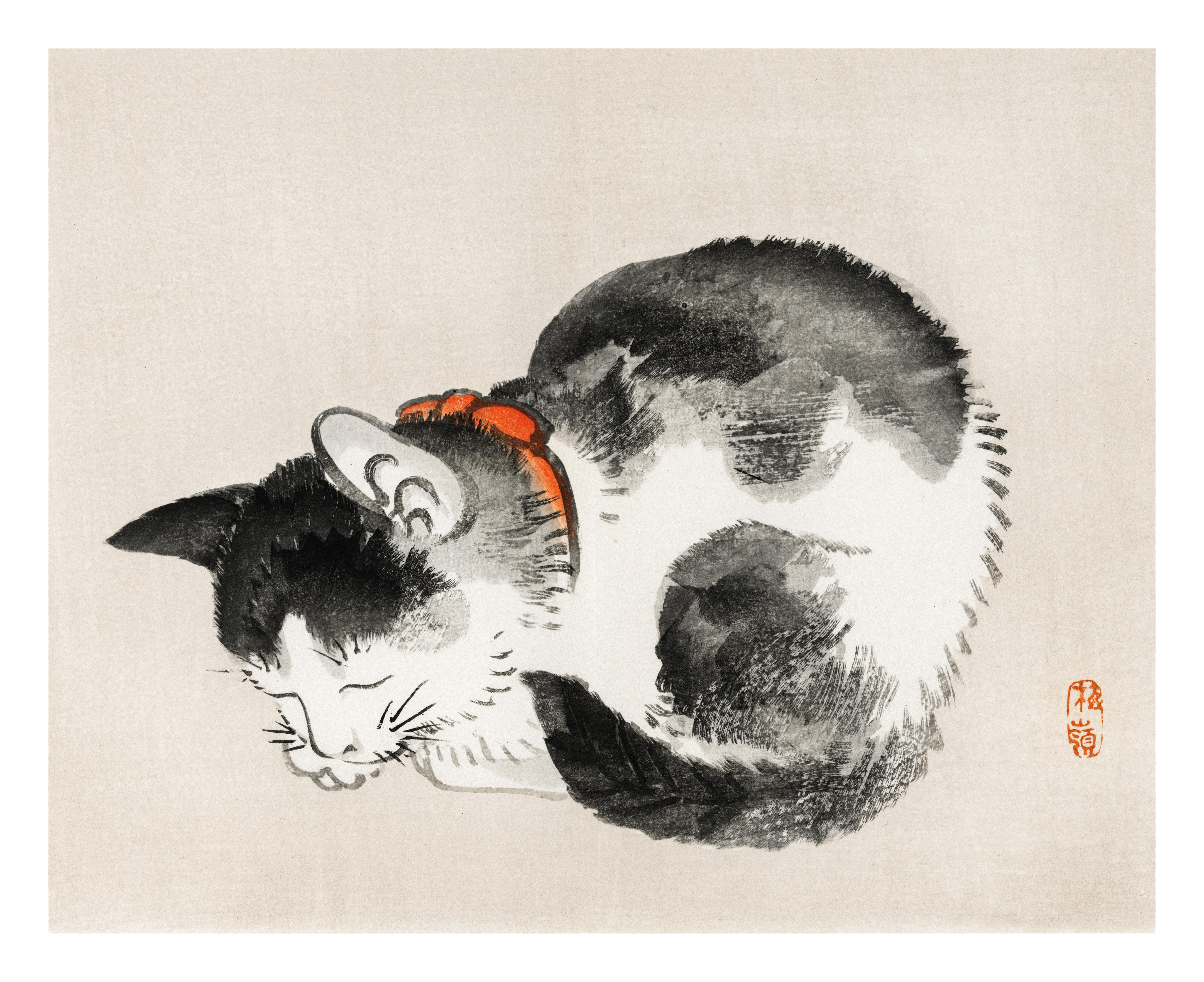 Cat- Medium Poster - The Mousepad Company