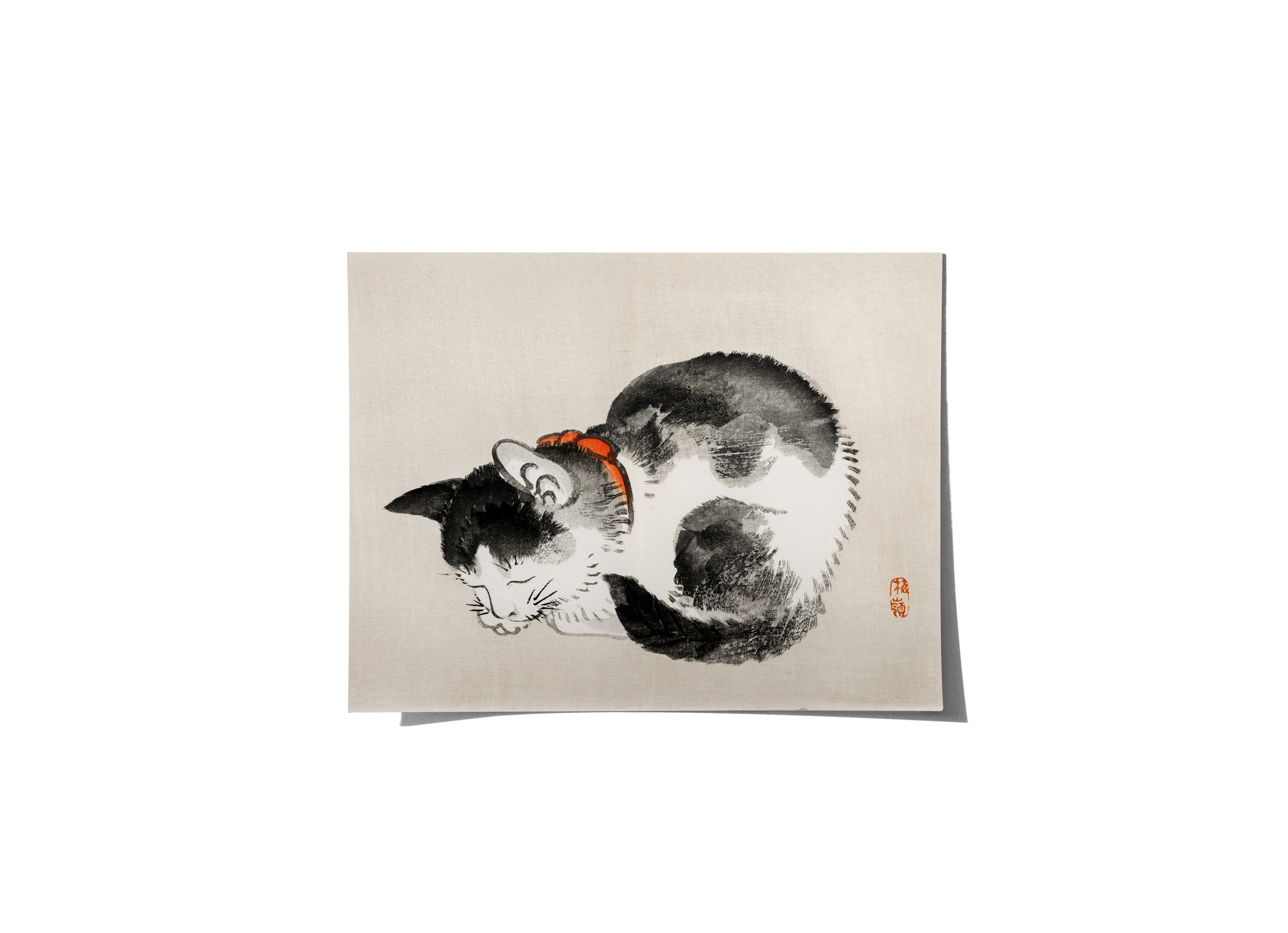 Cat- Medium Poster