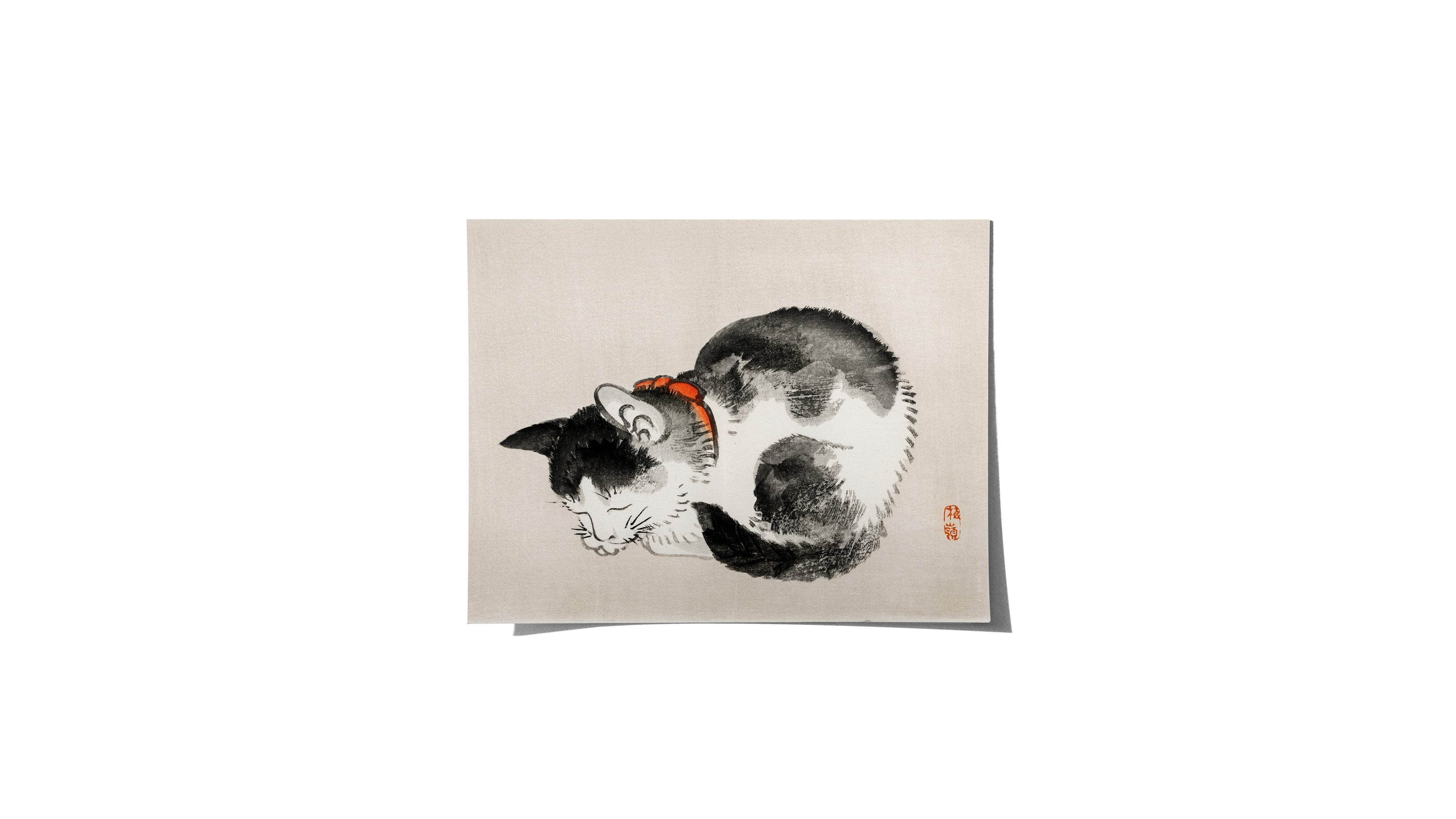 Cat- Medium Poster