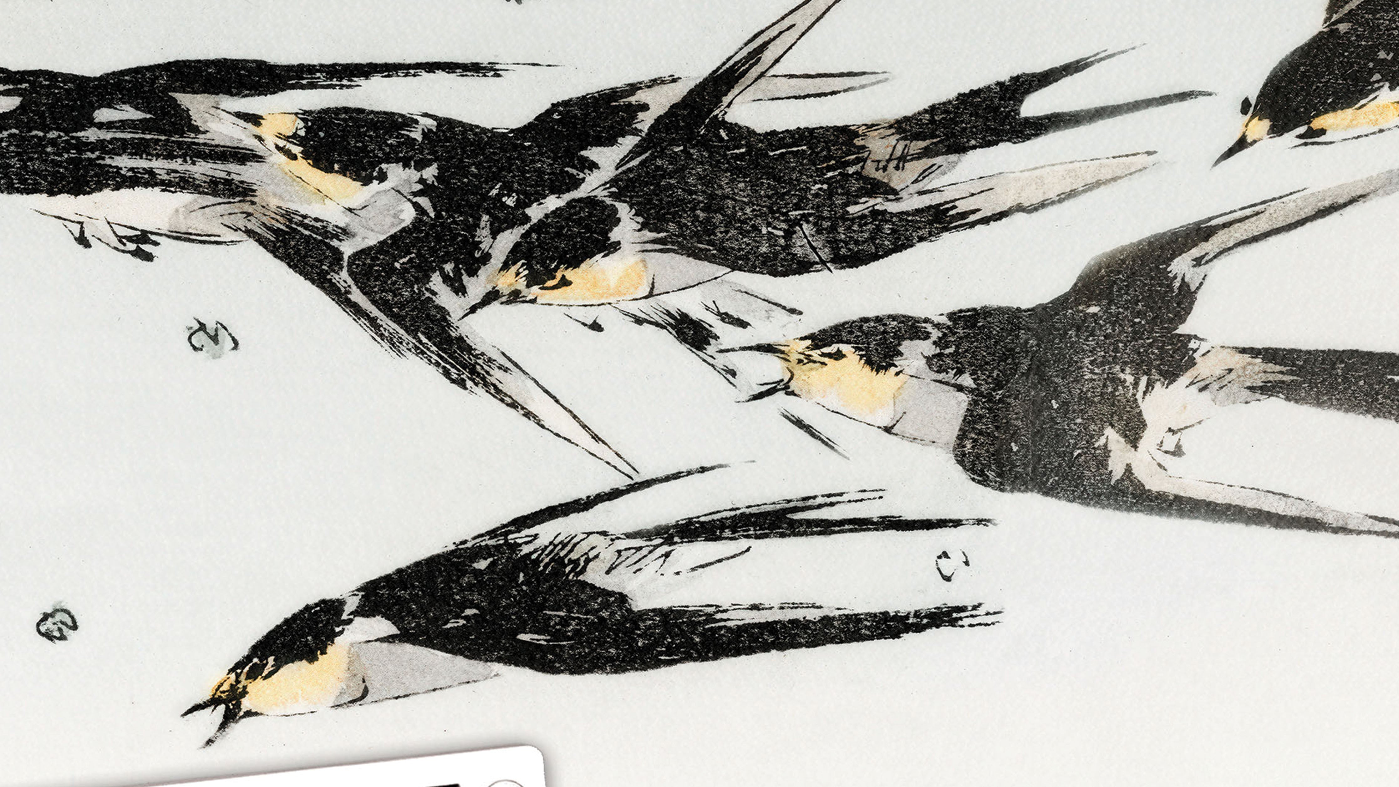 Flying Magpies by Seitei
