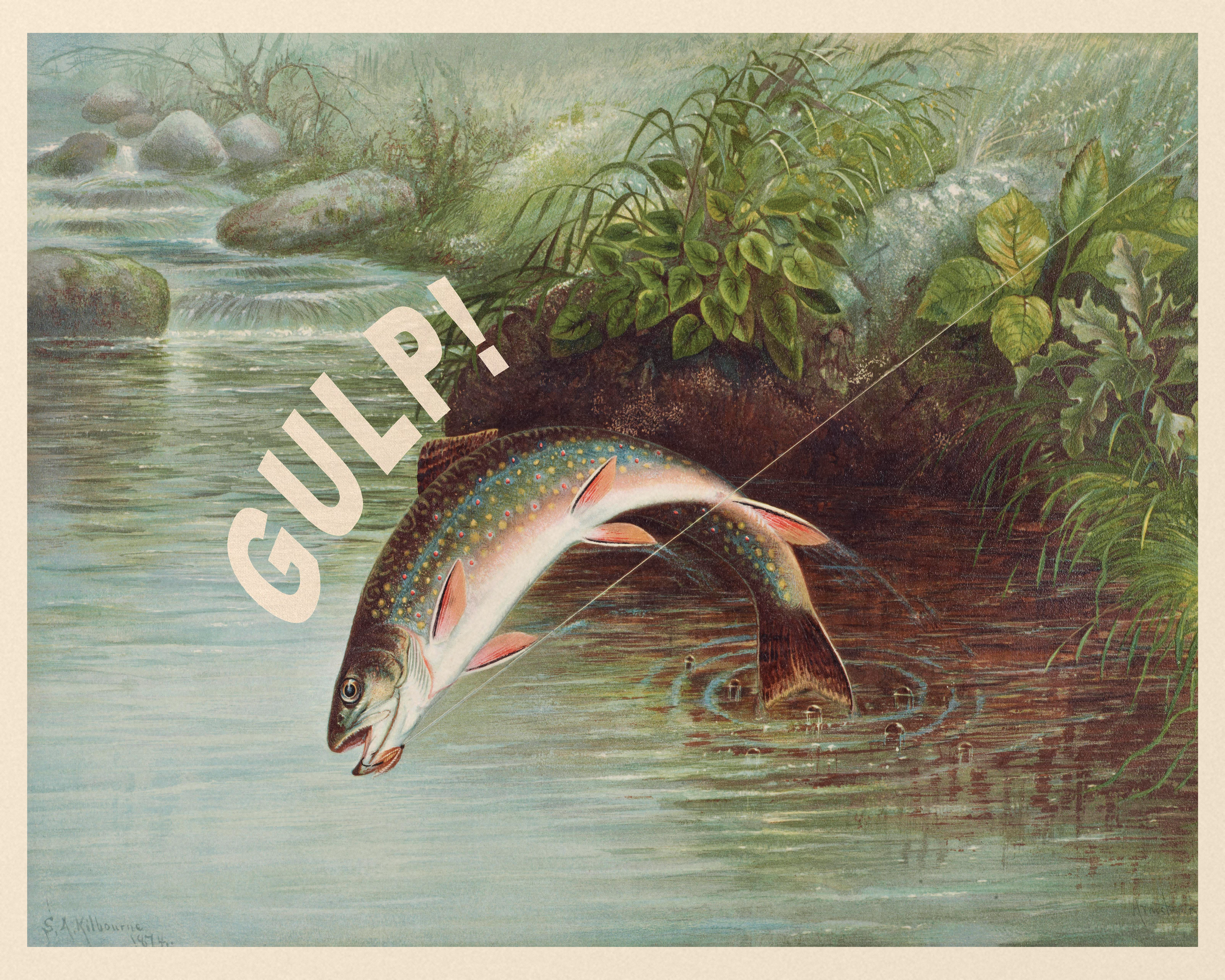 Gulp! - Leaping Trout, by S.A. Kilbourne - The Mousepad Company