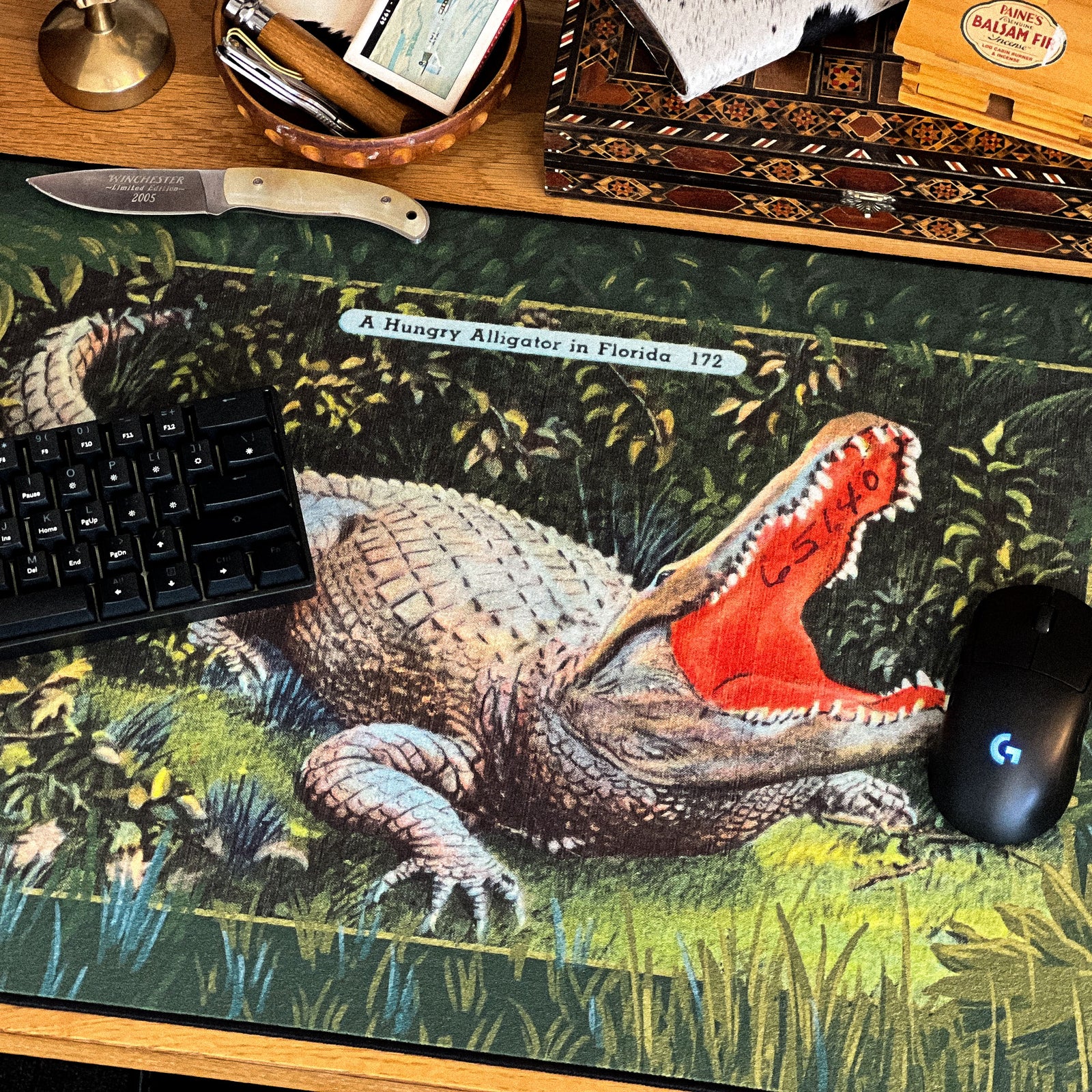 Hungry Alligator - Original desk setup