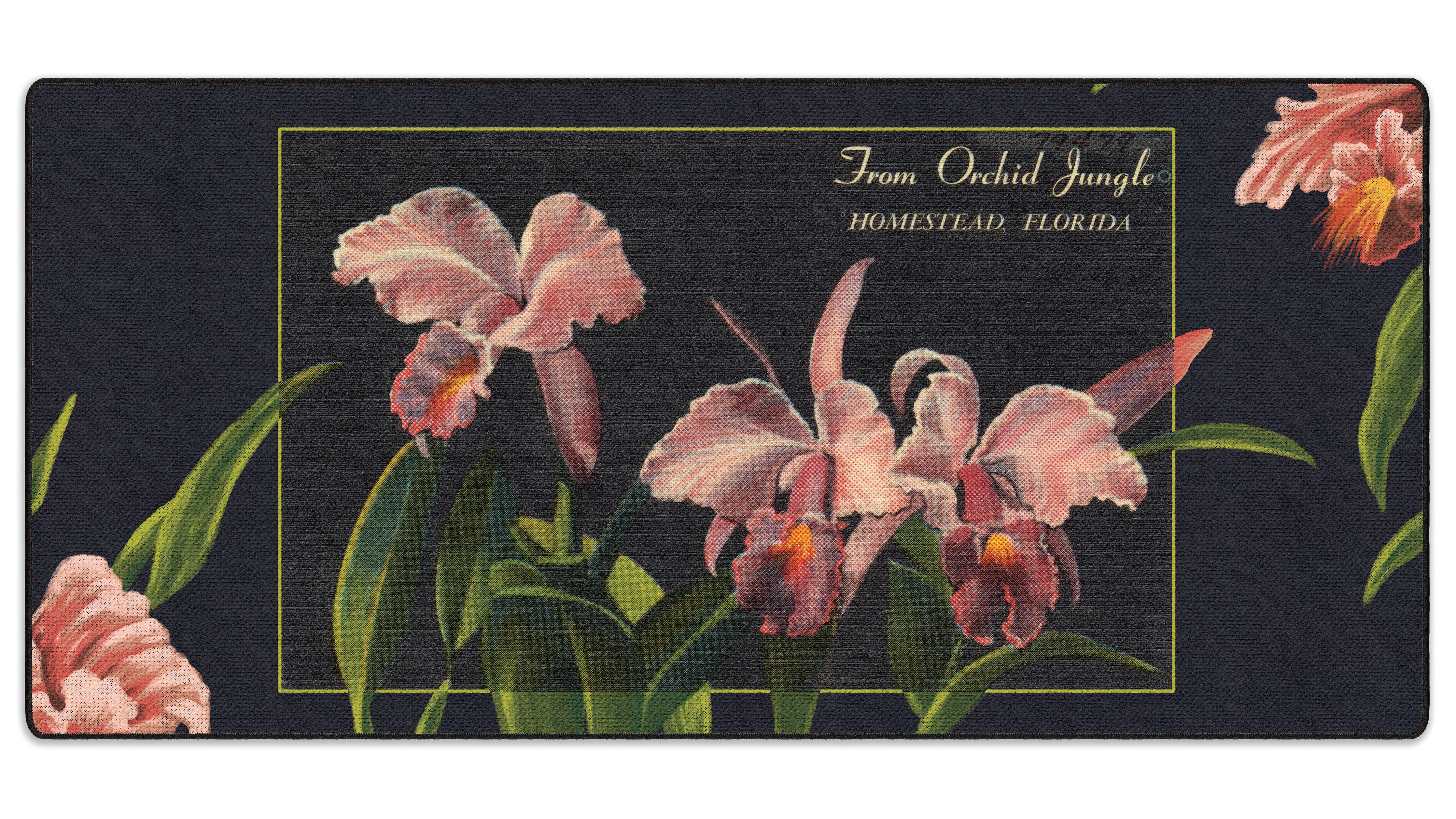 Orchid Jungle