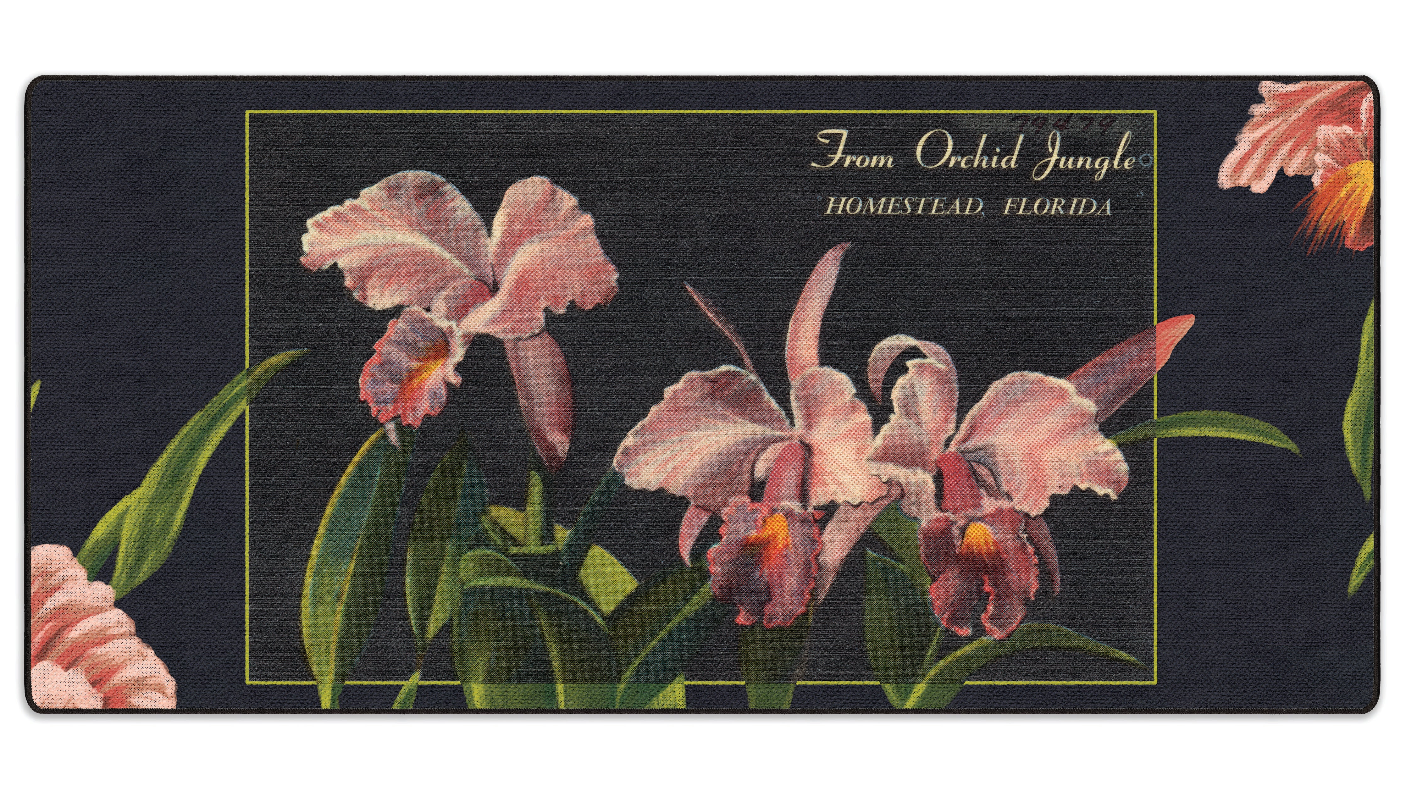 Orchid Jungle