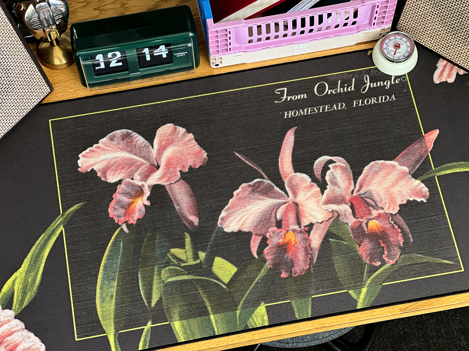 Orchid Jungle - Original desk setup