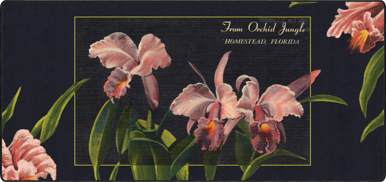 Orchid Jungle