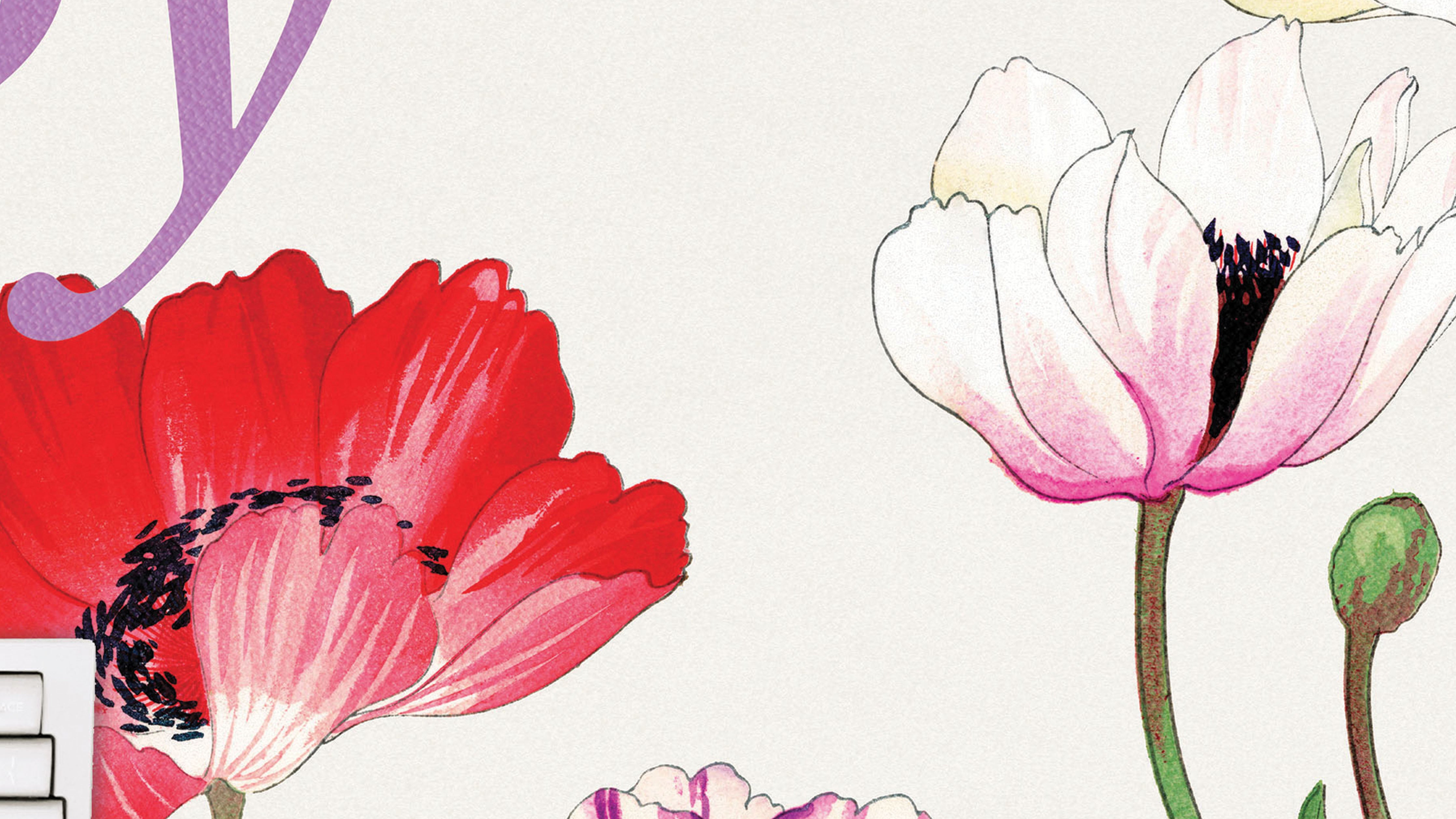 Poppy I