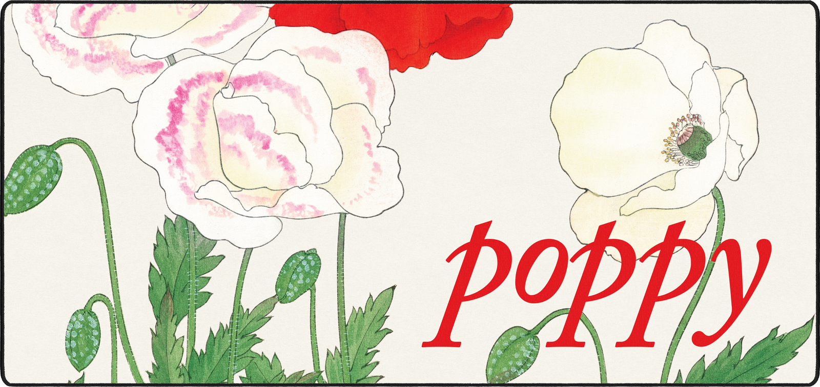 Poppy II