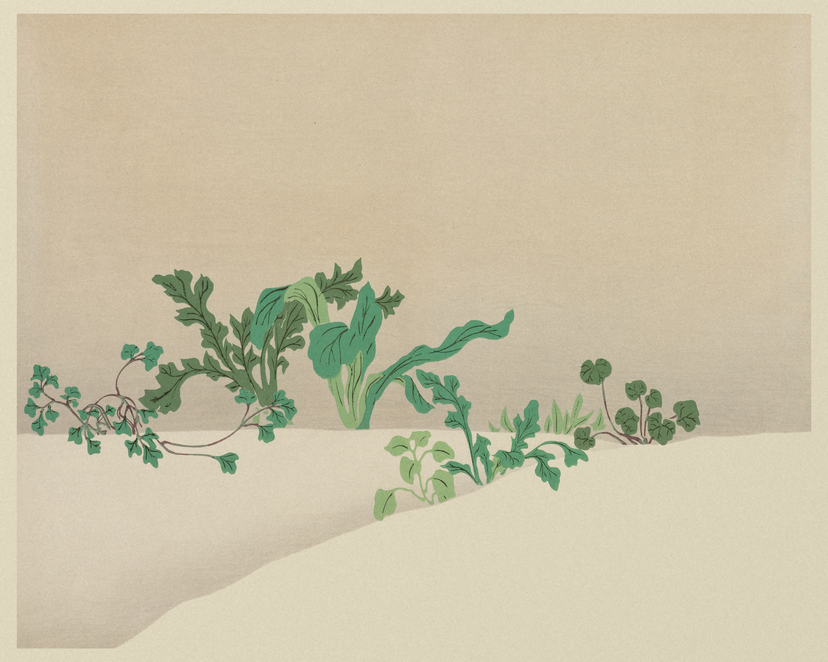 Sprouting Ferns in Snow - Rinpa-Style Botanical Print - The Mousepad Company