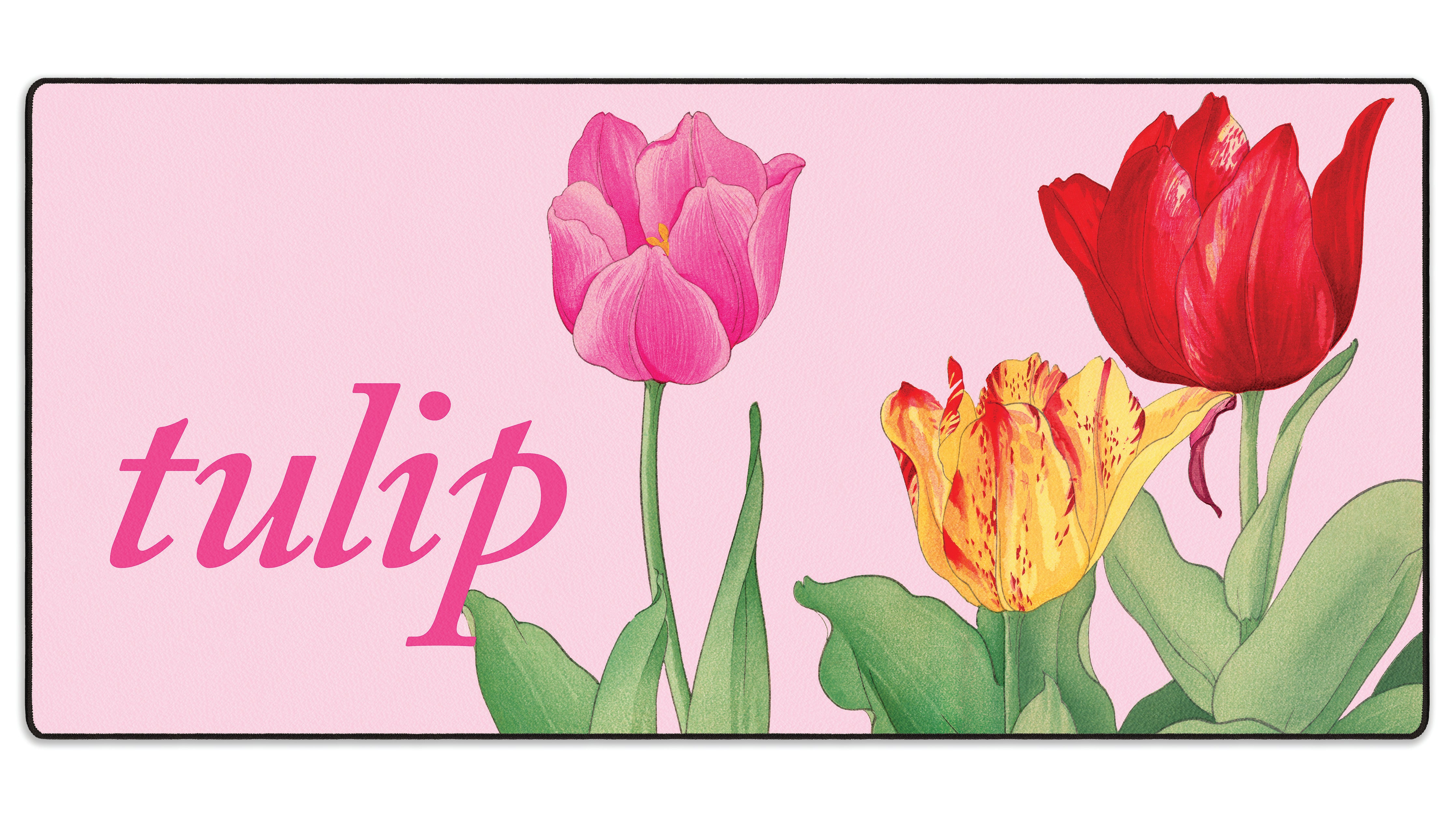 Tulip