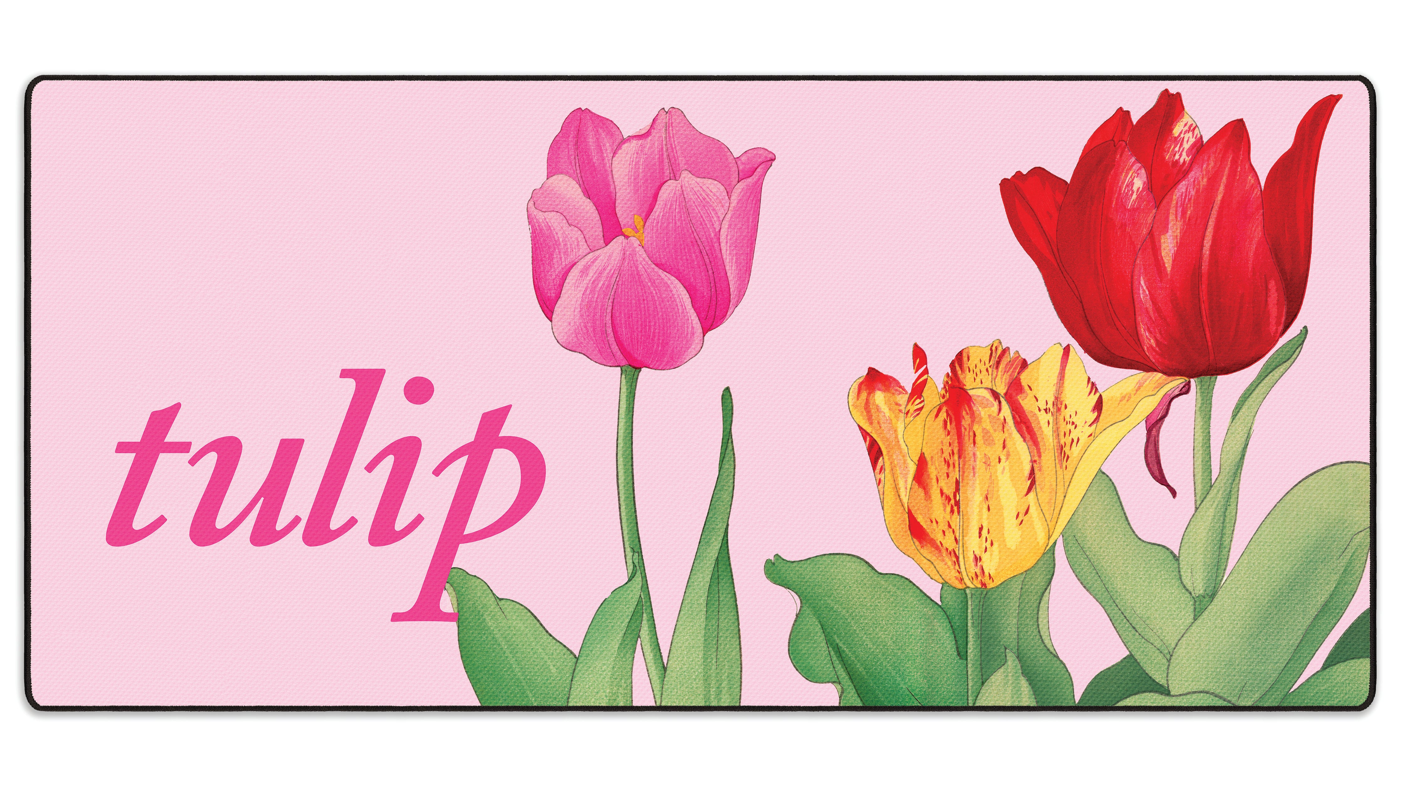 Tulip